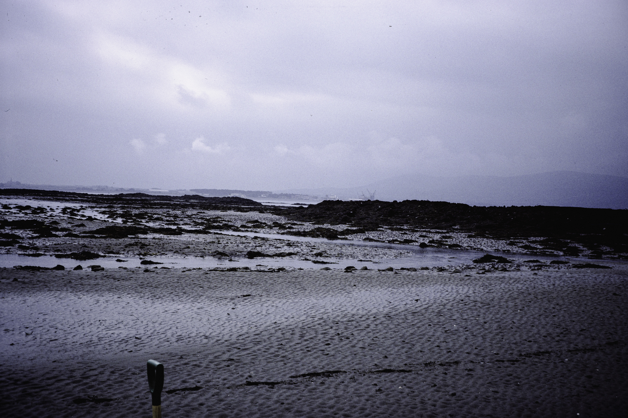 . Site: Greencastle Rocks, Carlingford Lough. 