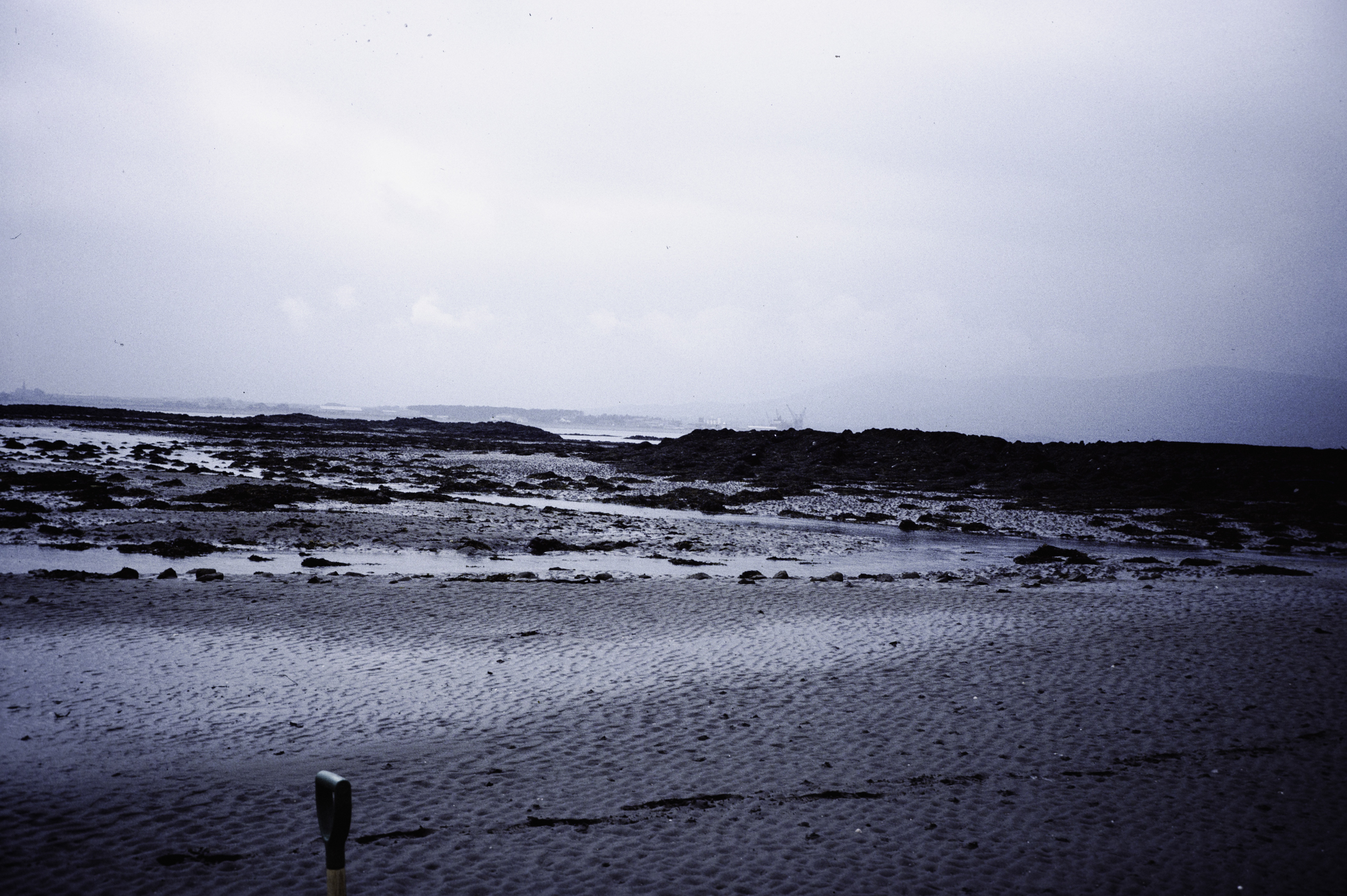 . Site: Greencastle Rocks, Carlingford Lough. 