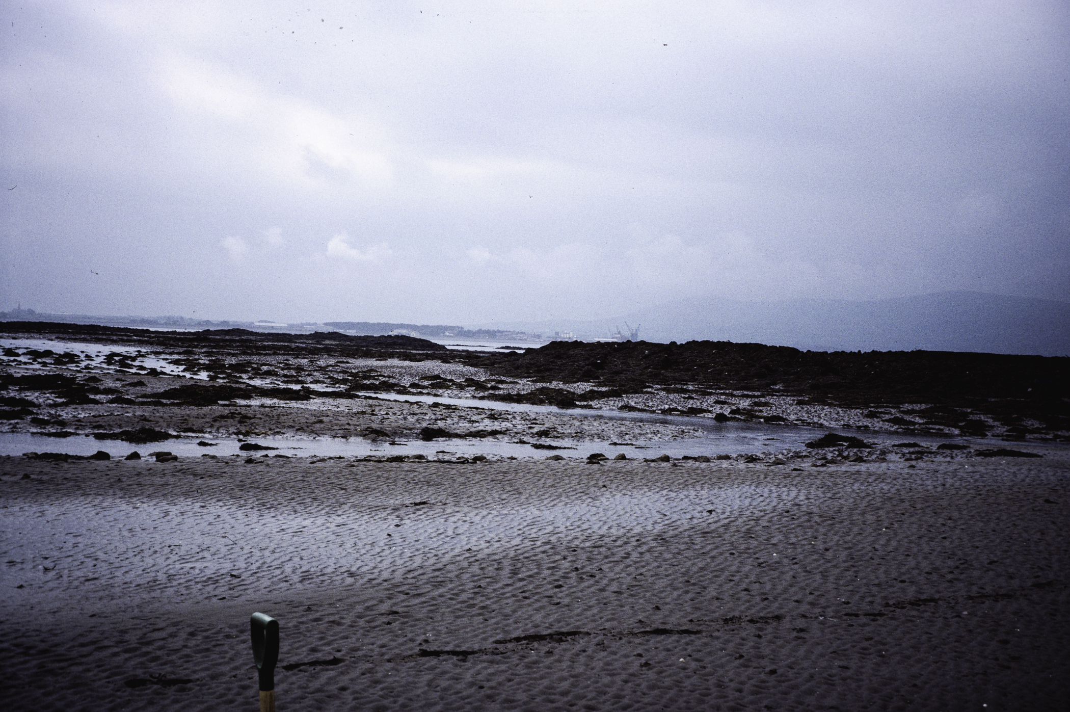 . Site: Greencastle Rocks, Carlingford Lough. 