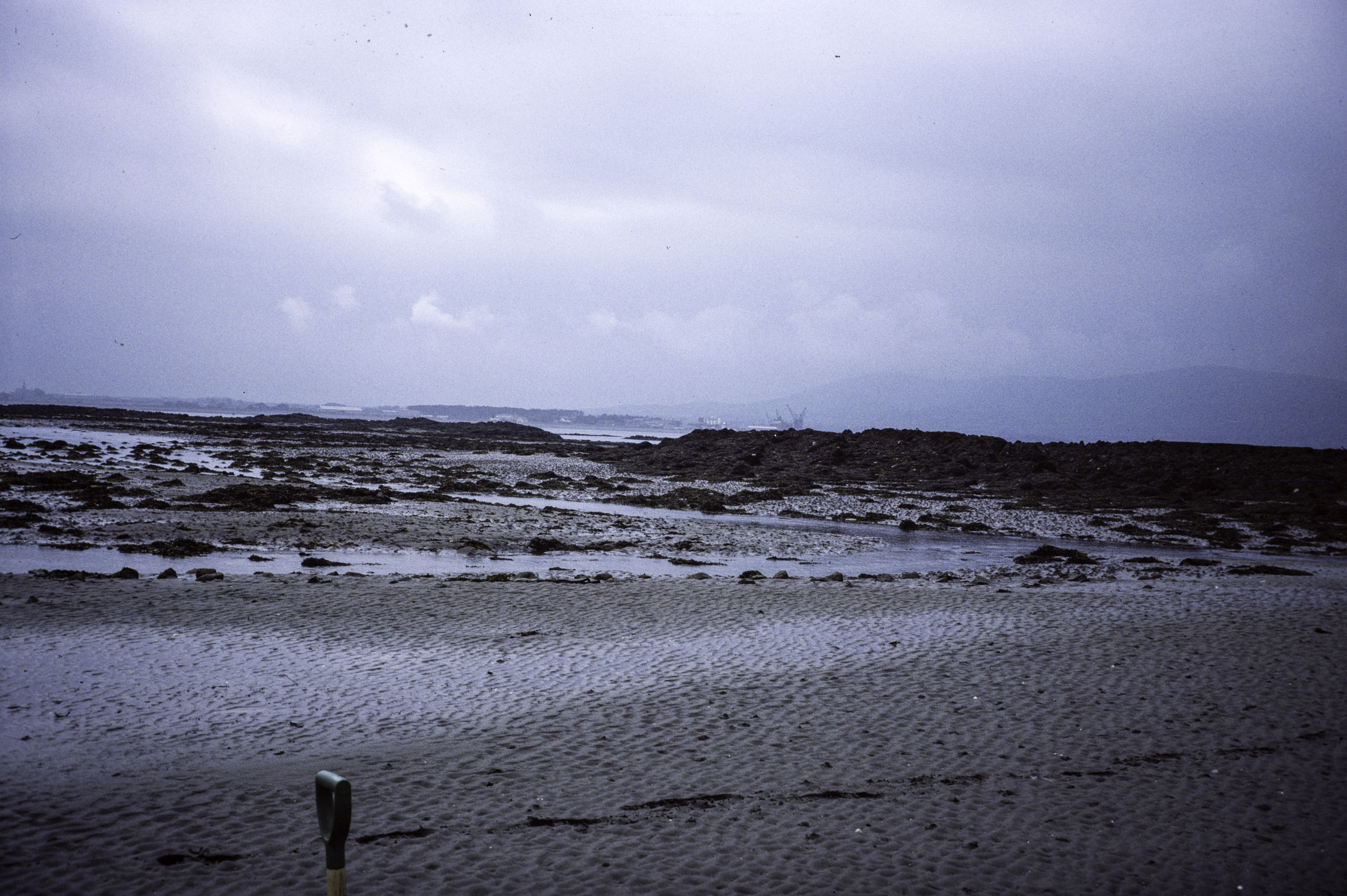 . Site: Greencastle Rocks, Carlingford Lough. 