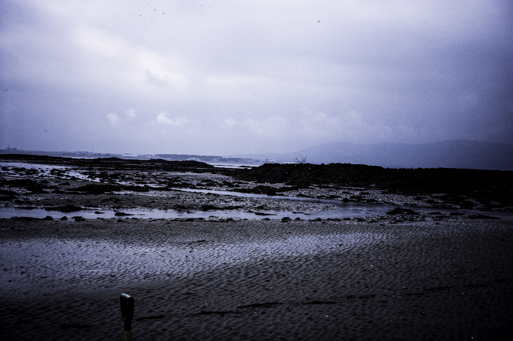 . Site: Greencastle Rocks, Carlingford Lough. 