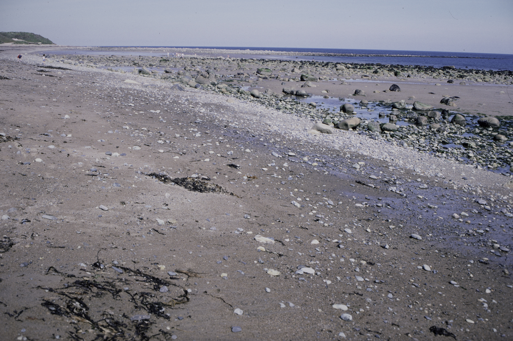 . Site: South of Nicholson's Point, SE Coast. 