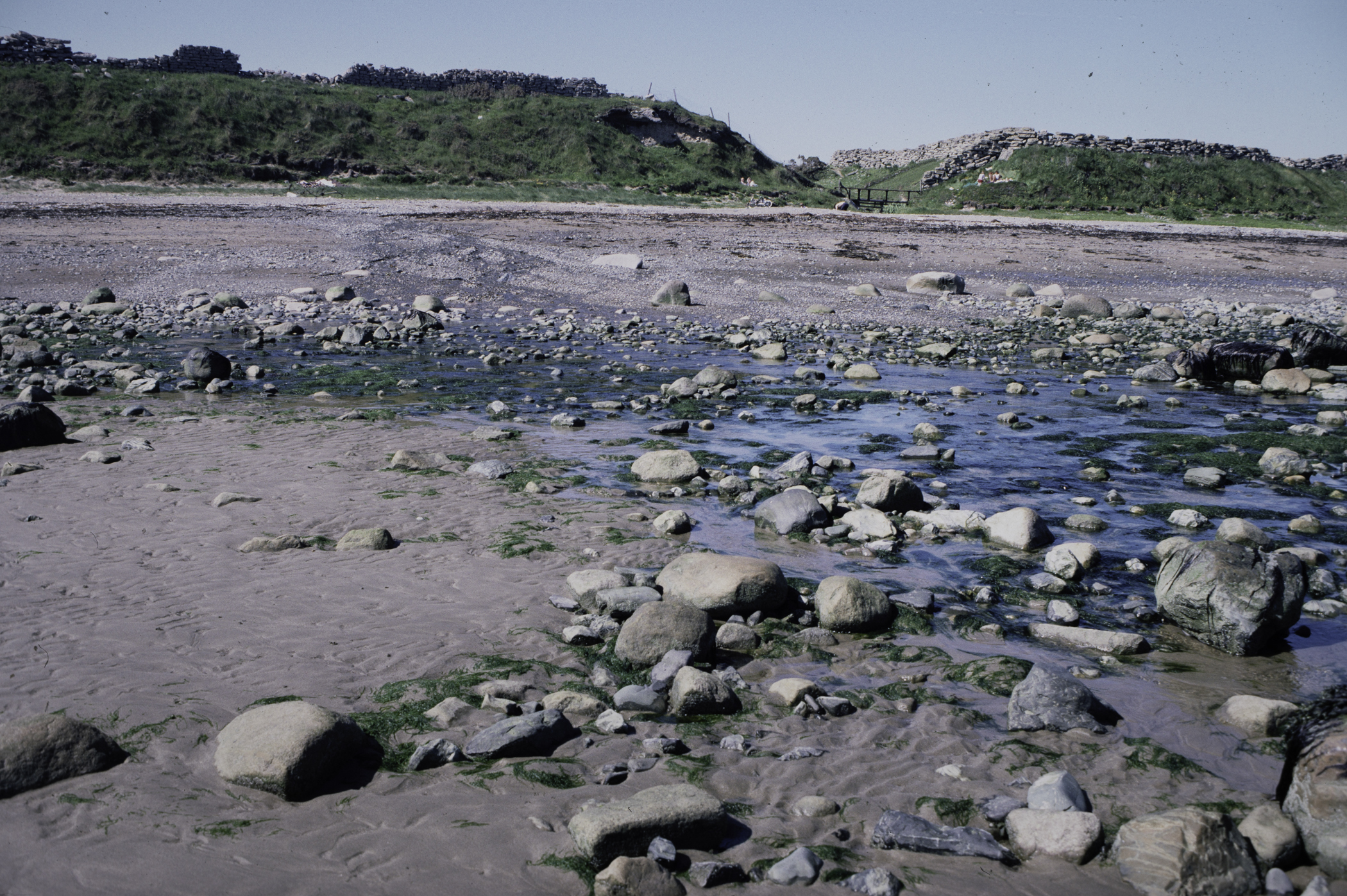 . Site: South of Nicholson's Point, SE Coast. 