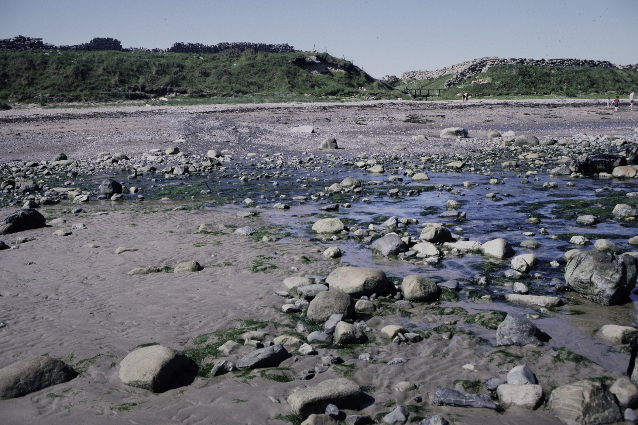 . Site: South of Nicholson's Point, SE Coast. 