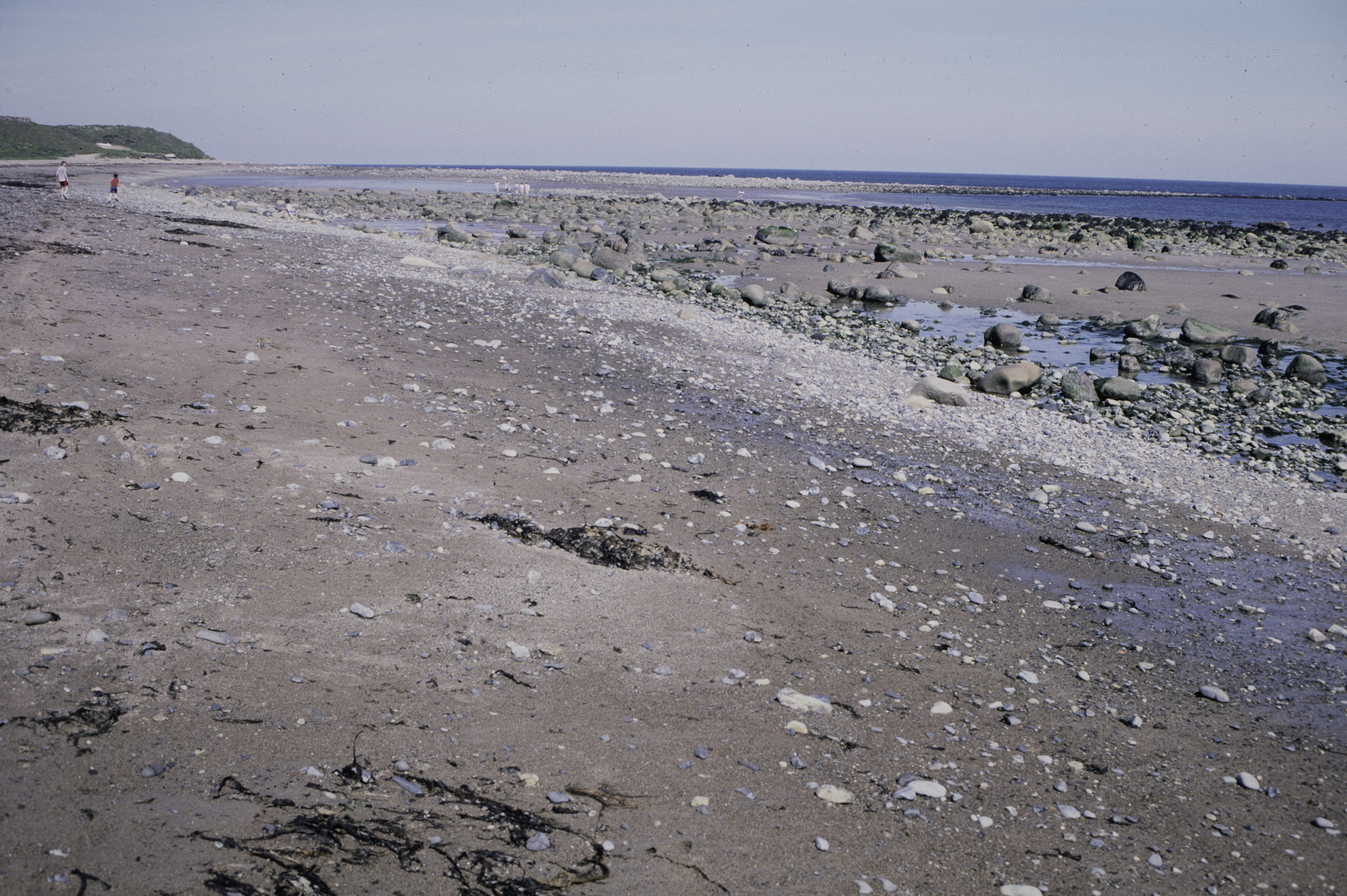 . Site: South of Nicholson's Point, SE Coast. 