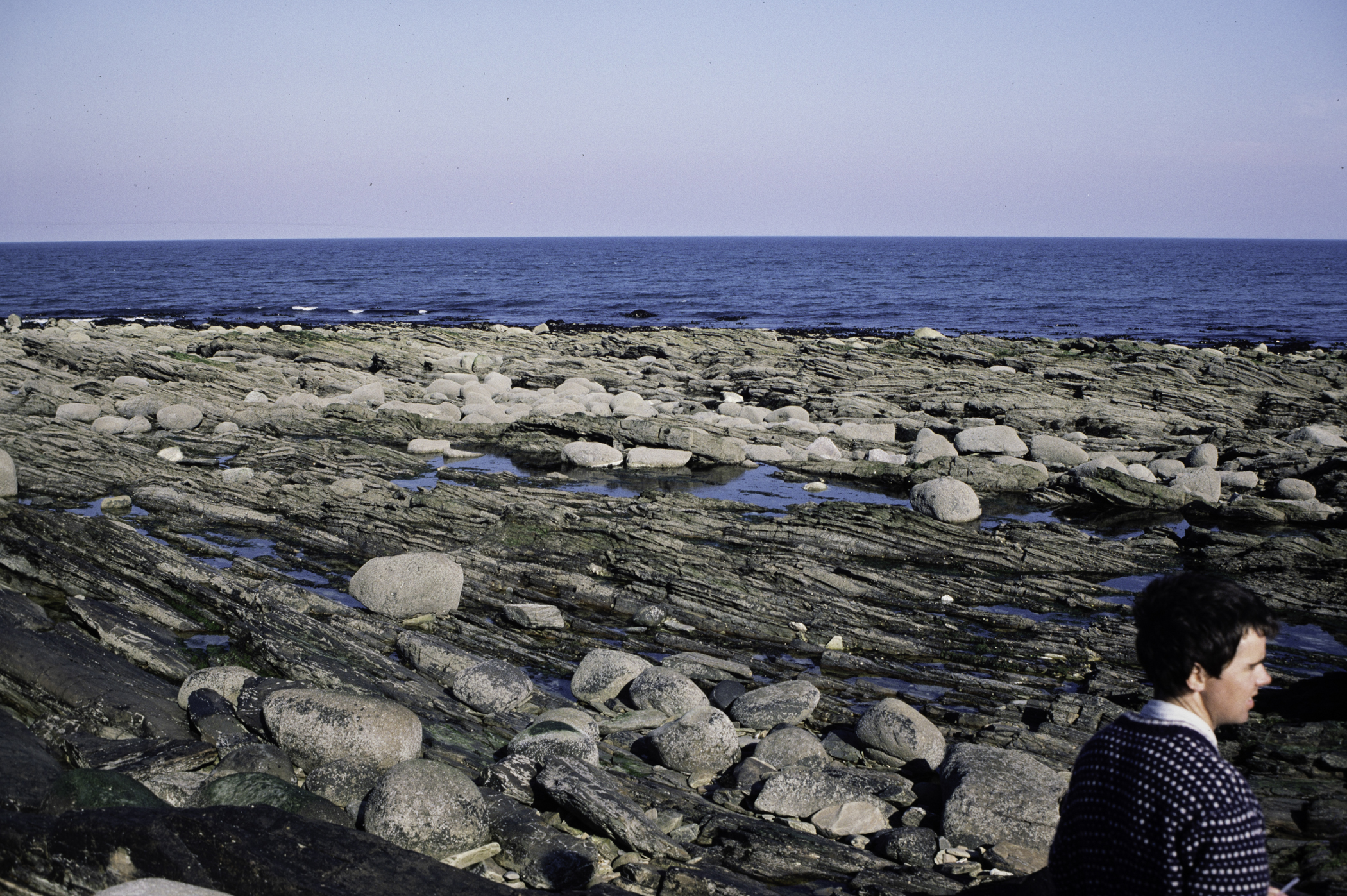 . Site: Russells Point (Wreck Port), SE Coast. 