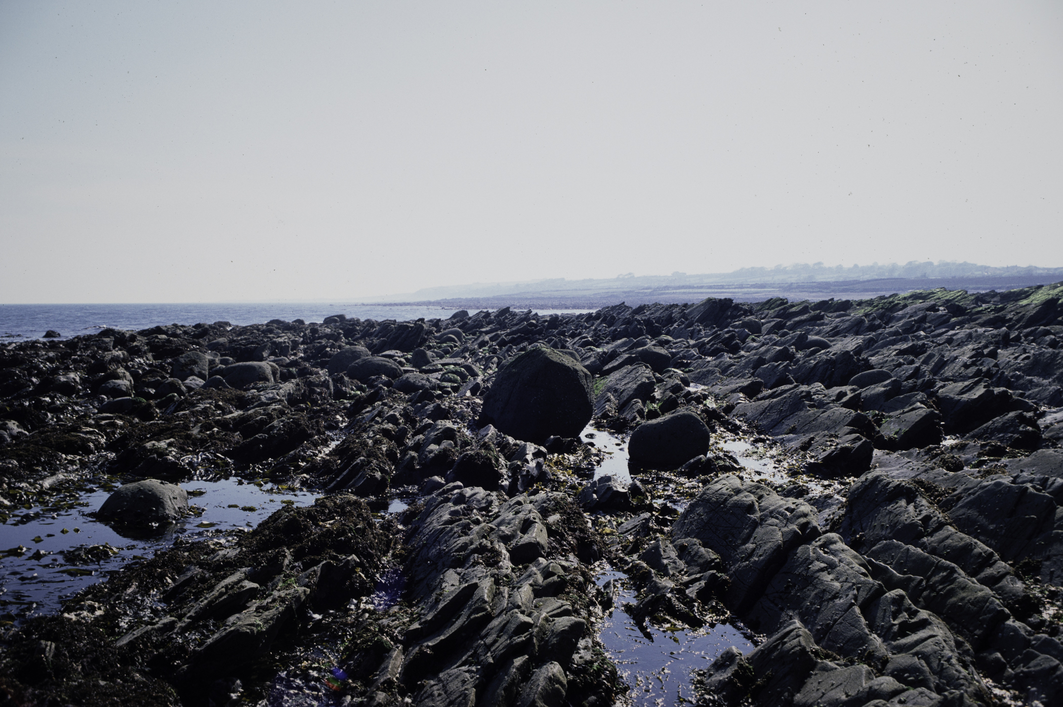 . Site: Russells Point (Wreck Port), SE Coast. 