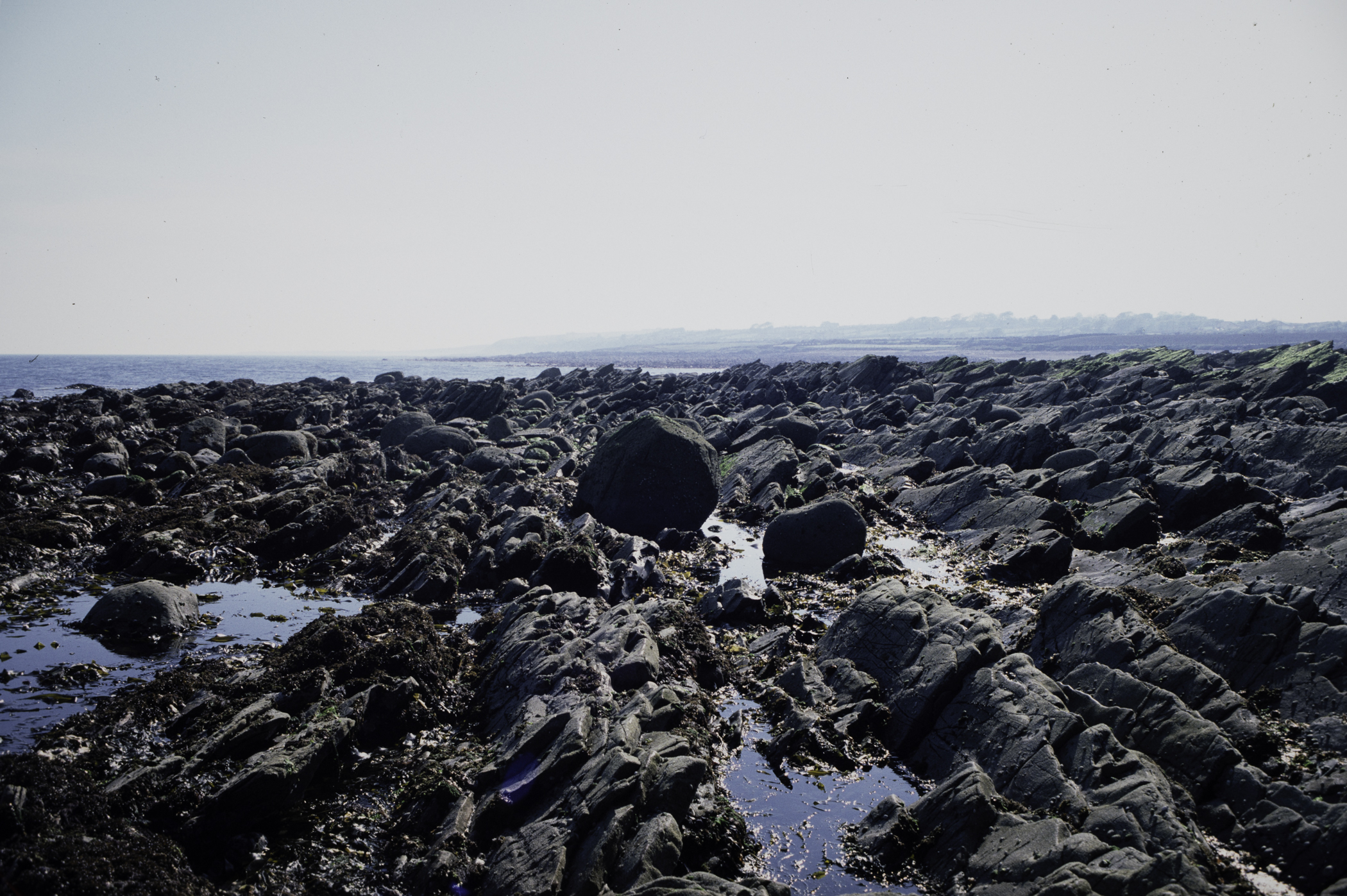 . Site: Russells Point (Wreck Port), SE Coast. 