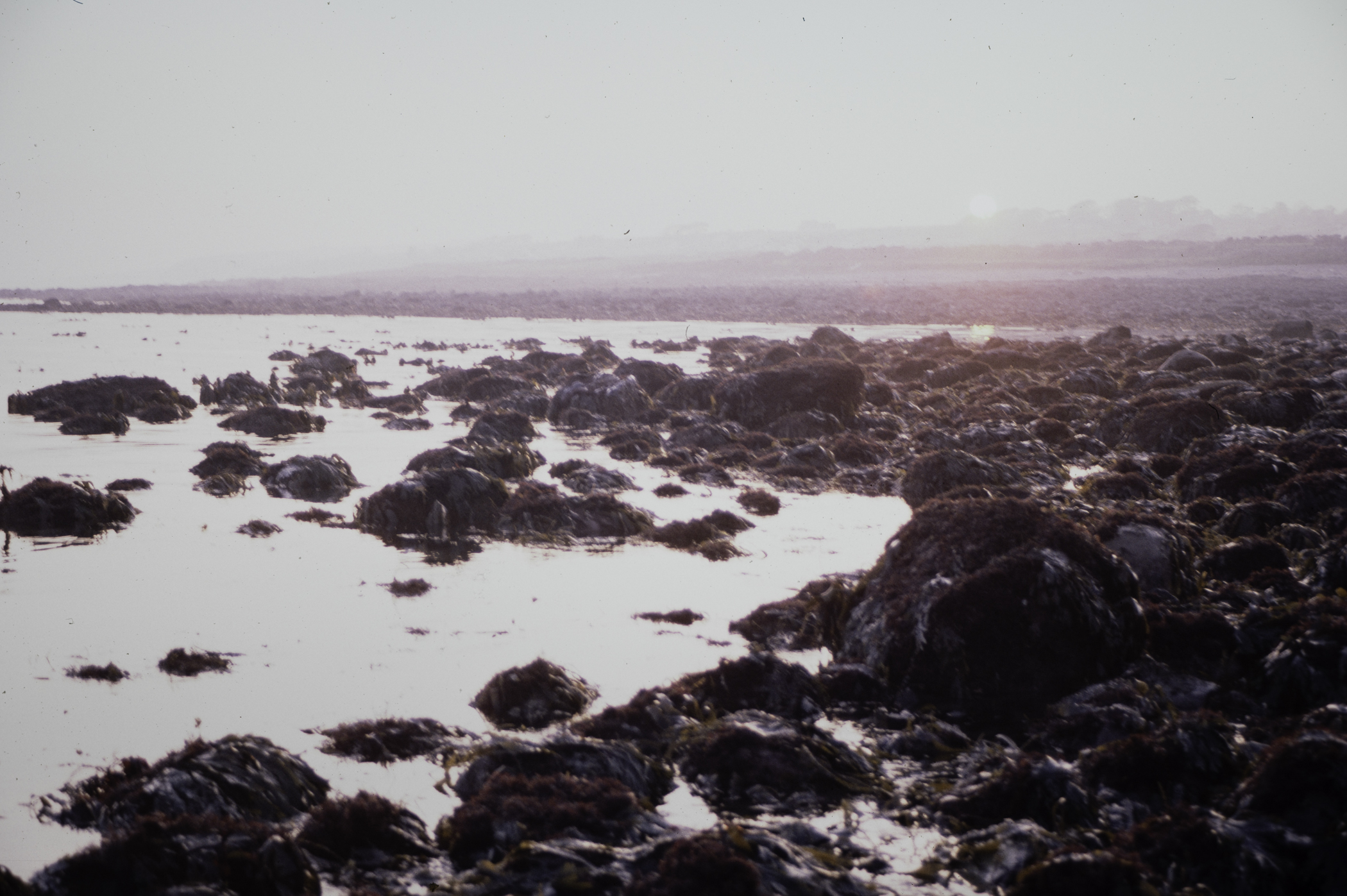 . Site: Russells Point (Wreck Port), SE Coast. 