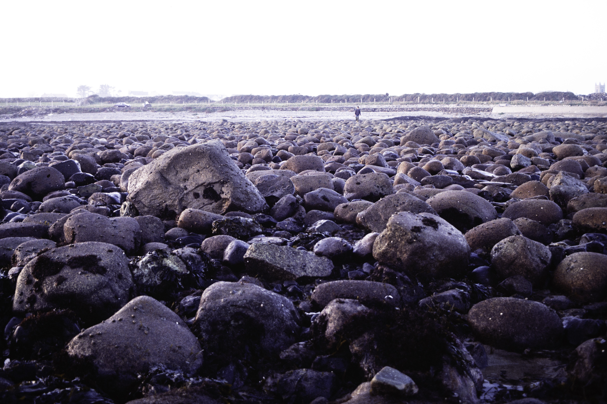 . Site: Russells Point (Wreck Port), SE Coast. 