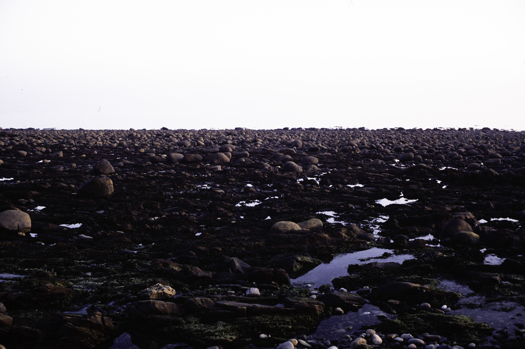 . Site: Russells Point (Wreck Port), SE Coast. 