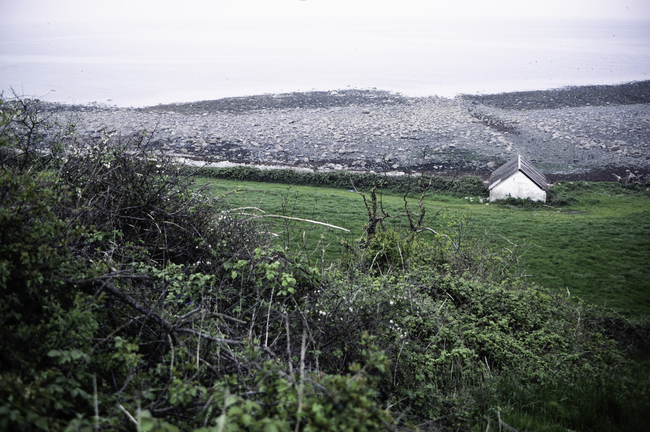 . Site: Glassdrumman Port, SE Coast. 