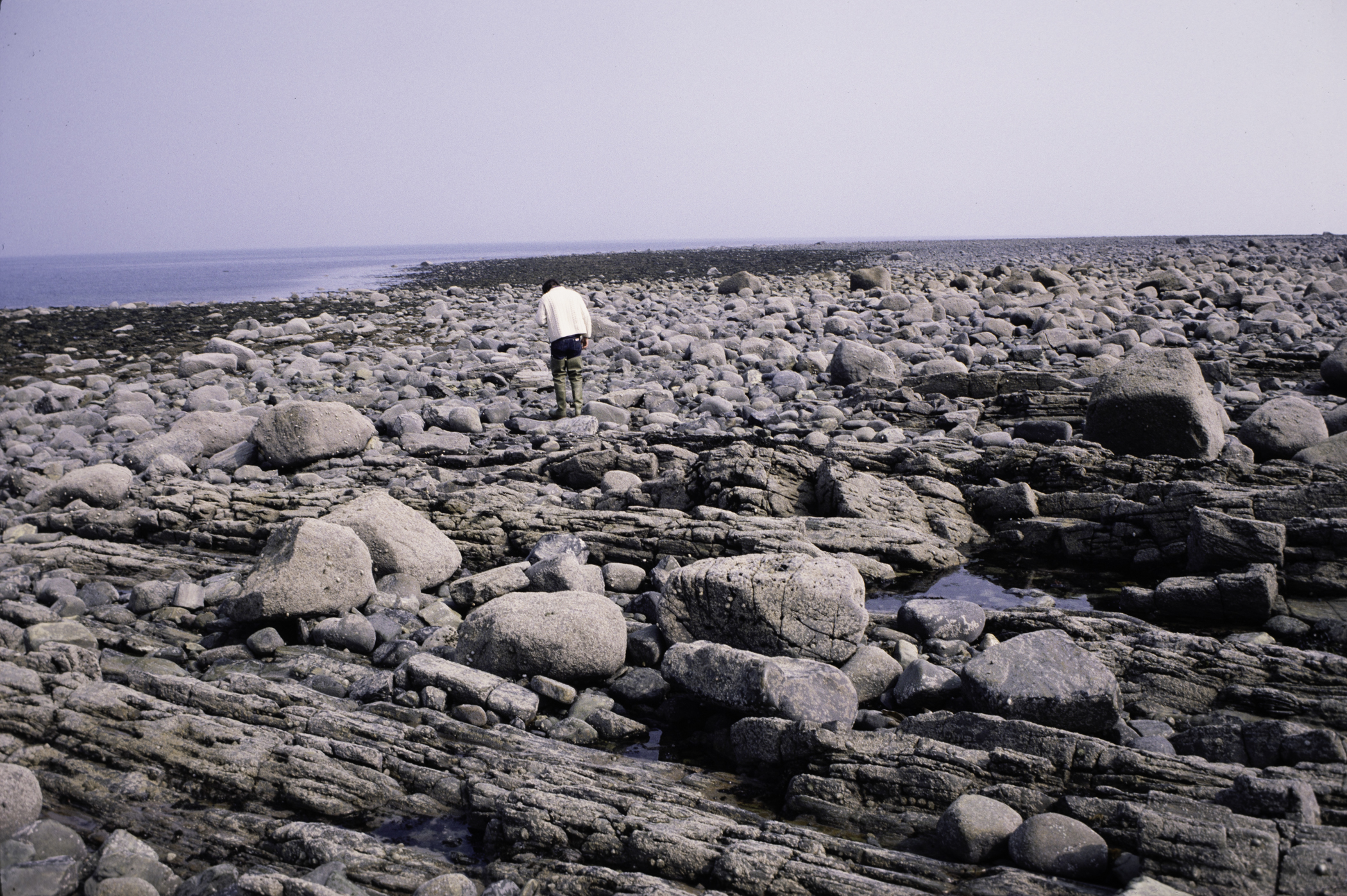 . Site: Glassdrumman Port, SE Coast. 