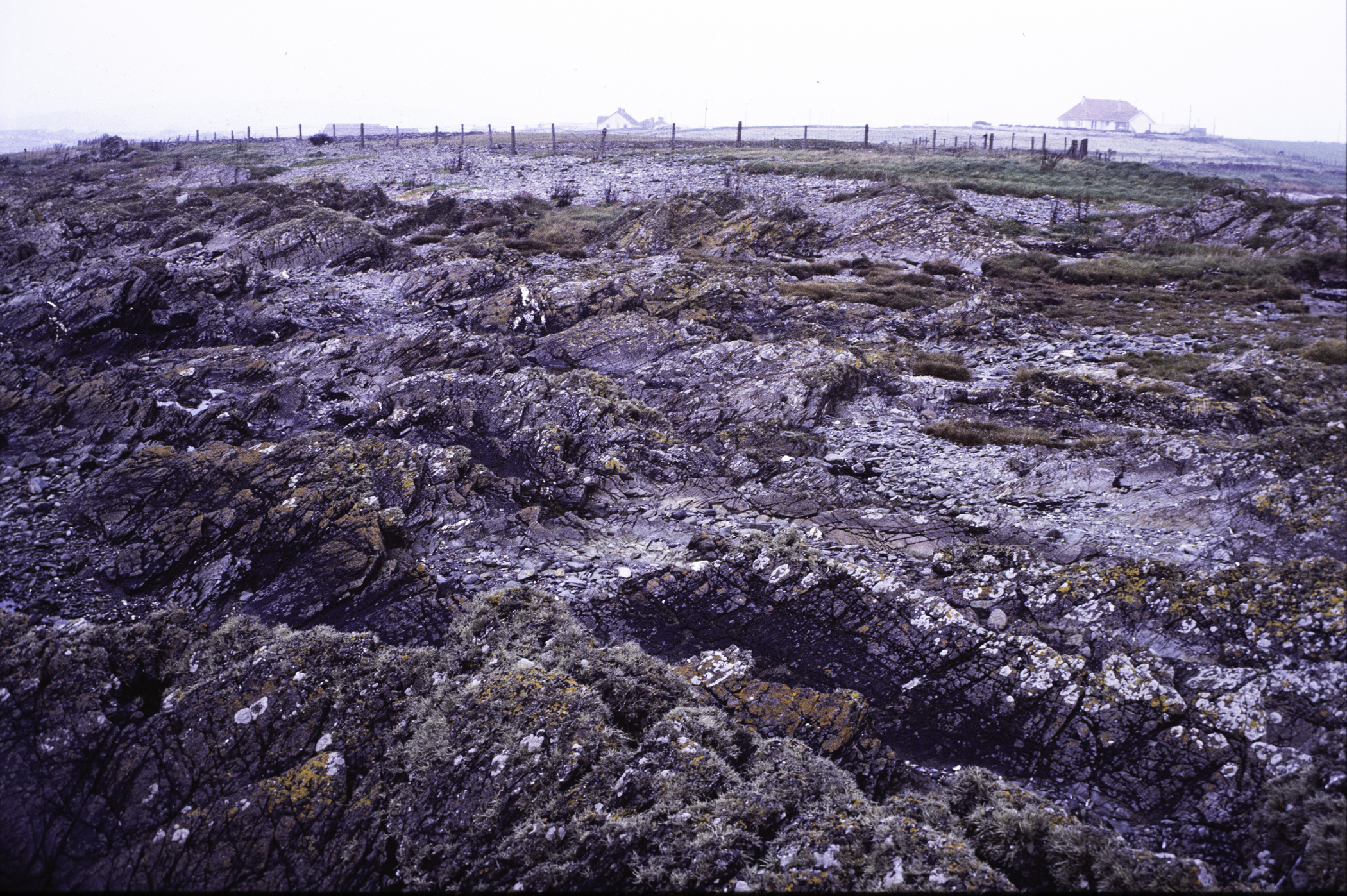 . Site: Rathmullan Point, SE Coast. 