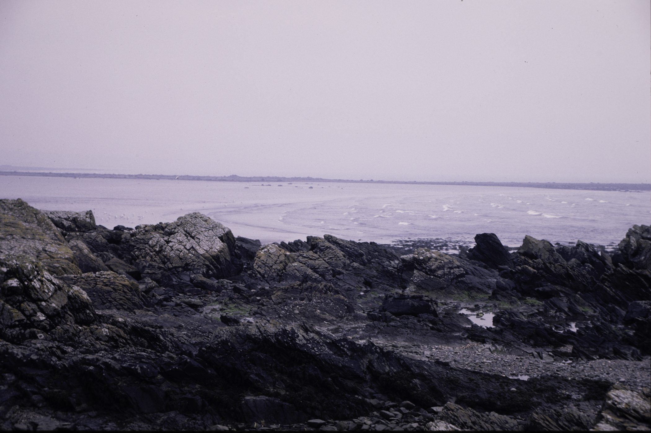 . Site: Rathmullan Point, SE Coast. 