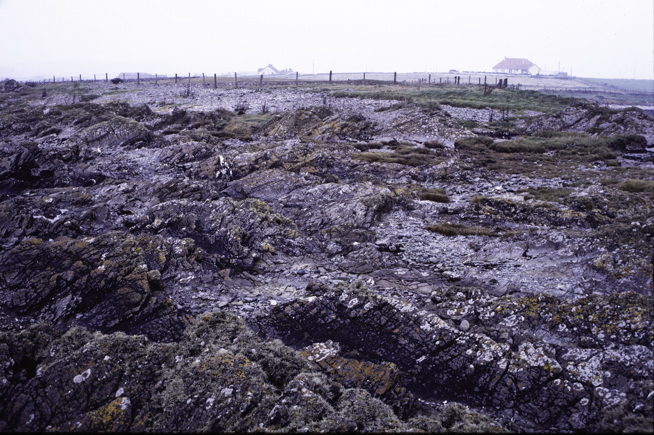 . Site: Rathmullan Point, SE Coast. 