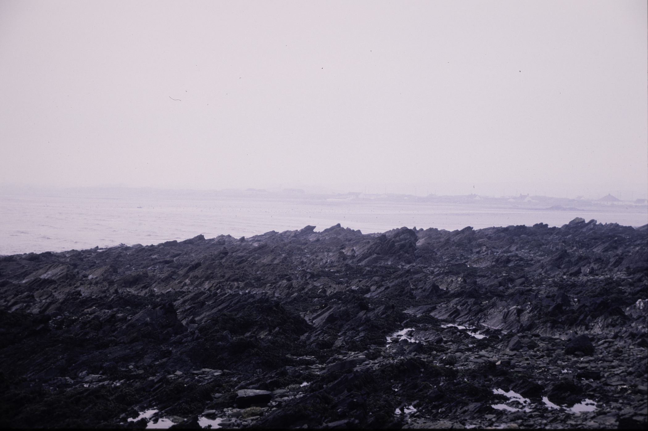 . Site: Rathmullan Point, SE Coast. 