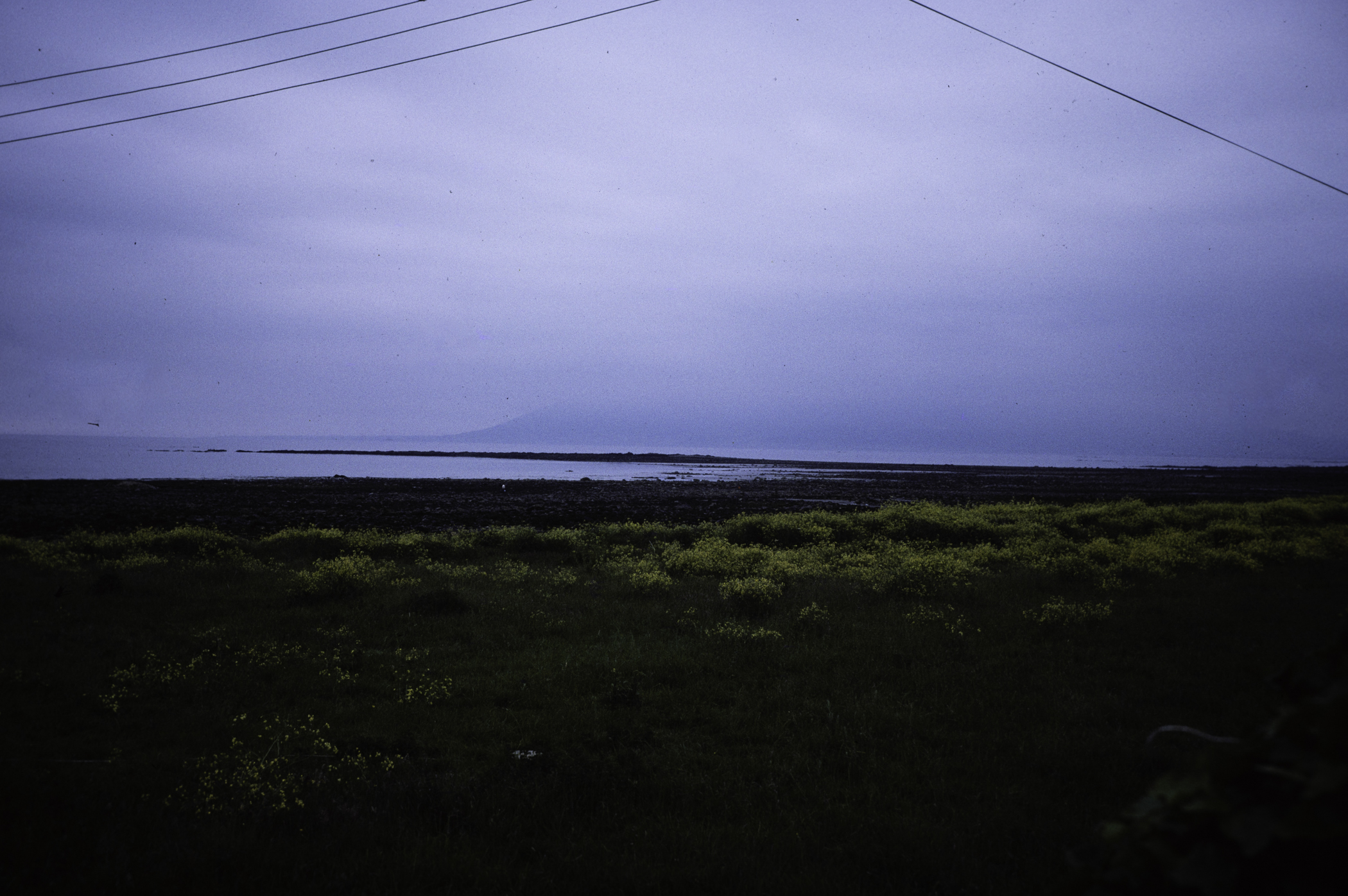 . Site: Ringboy (boulders), SE Coast. 