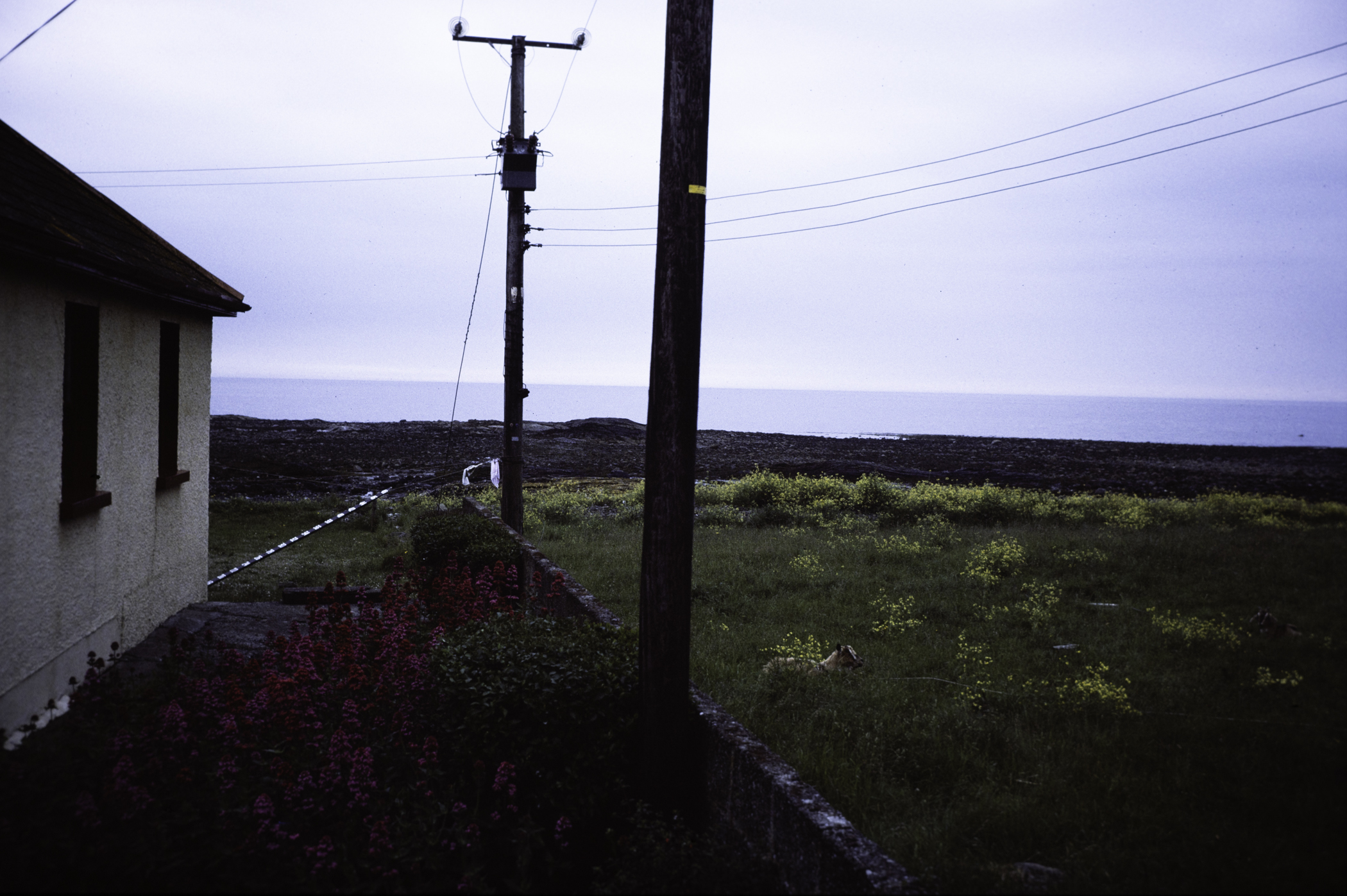 . Site: Ringboy (boulders), SE Coast. 