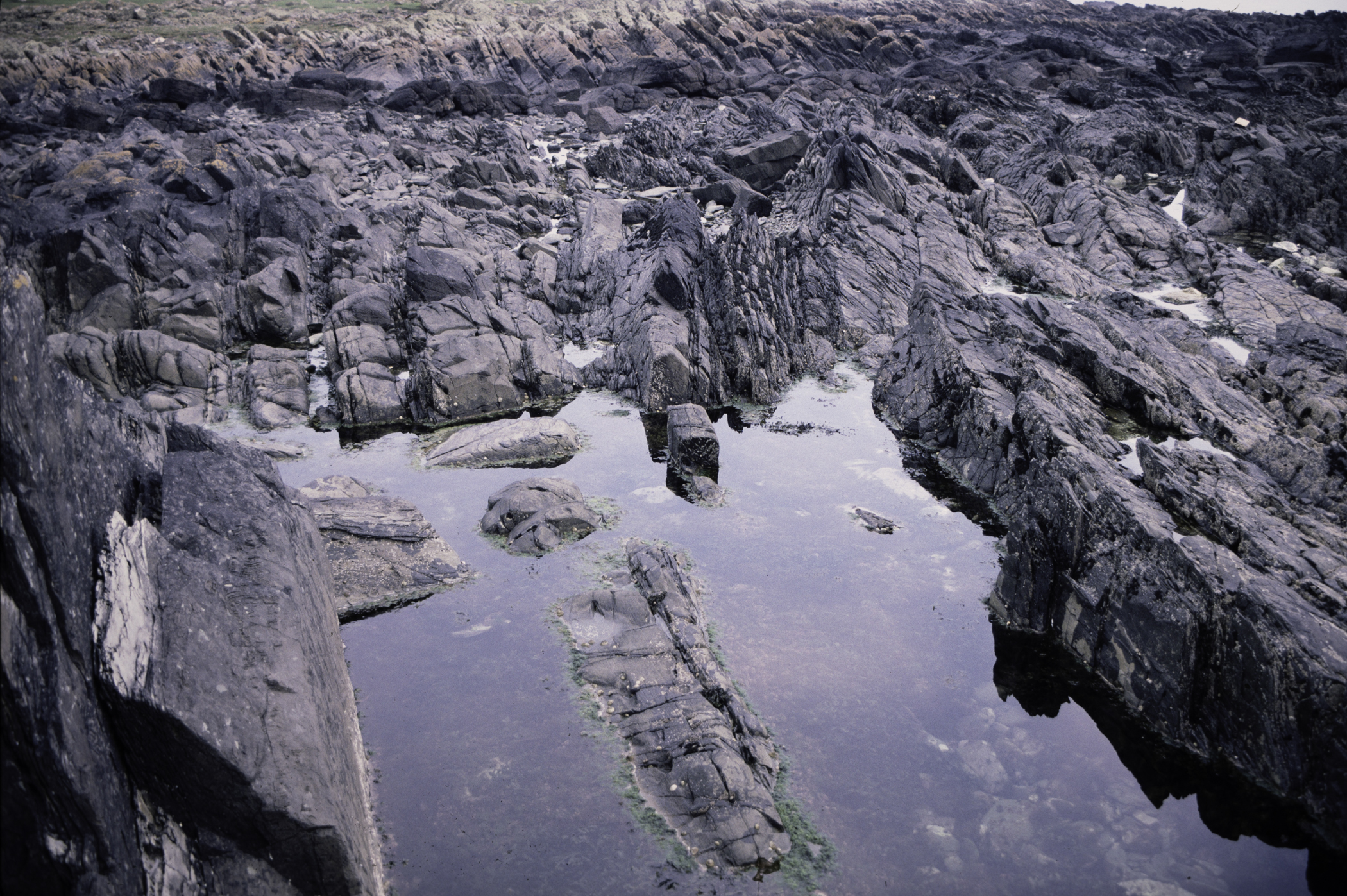 . Site: St. John's Point, SE Coast. 