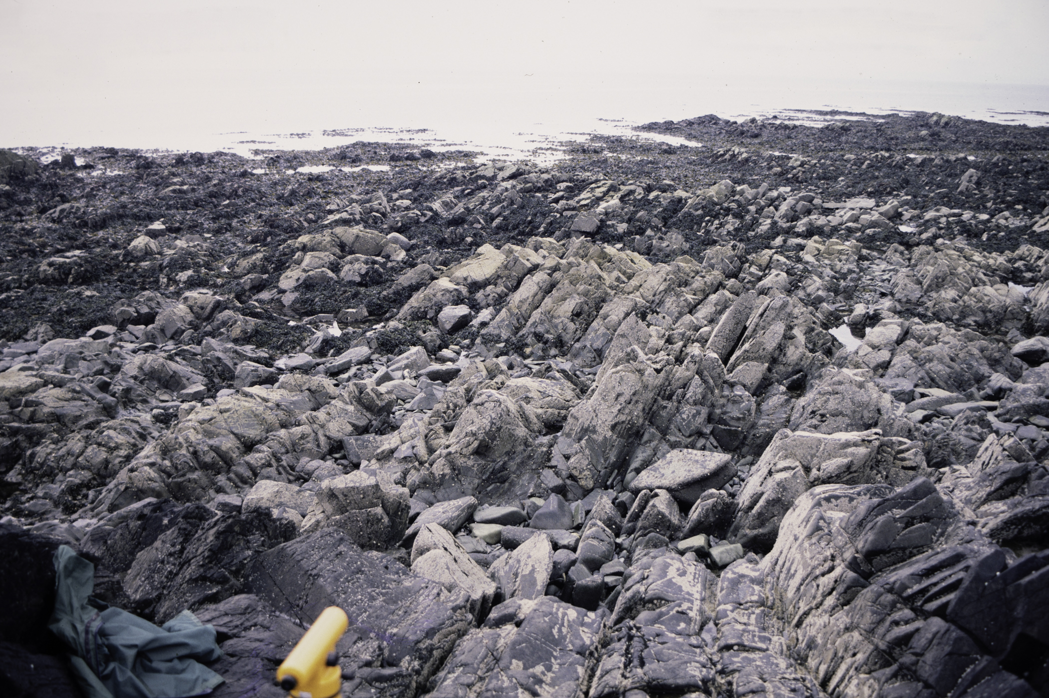 . Site: St. John's Point, SE Coast. 