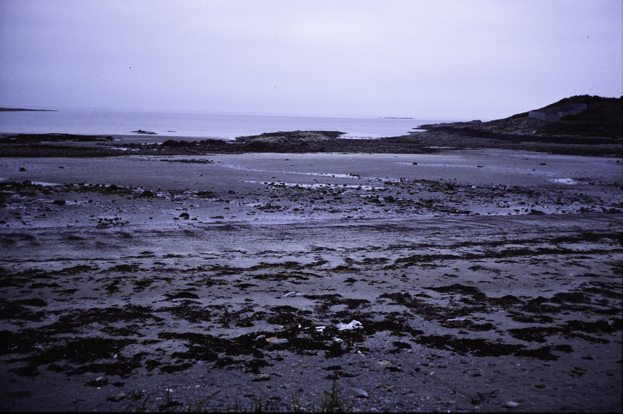 . Site: Coney Island Bay boulders, SE Coast. 