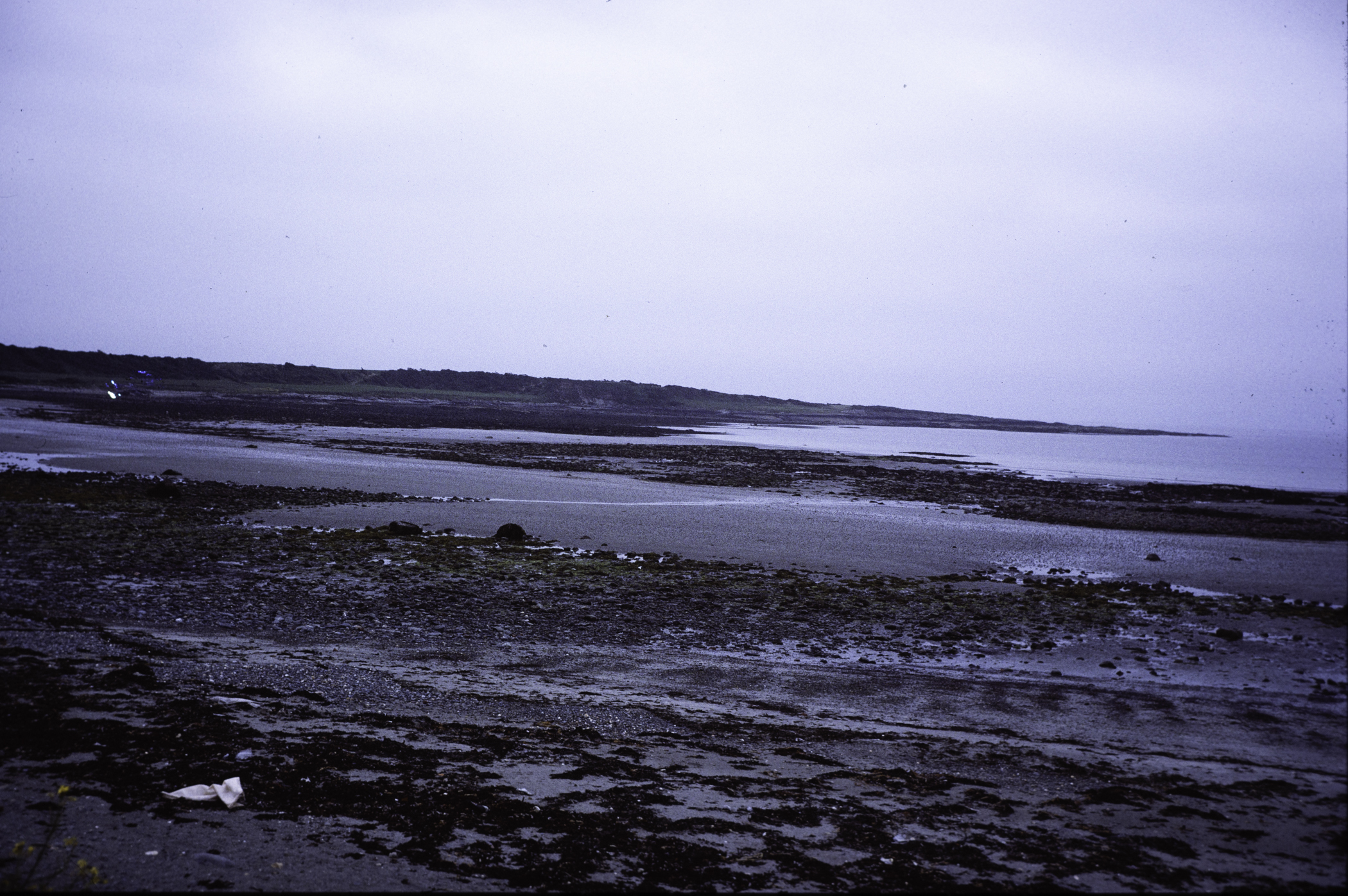 . Site: Coney Island Bay boulders, SE Coast. 