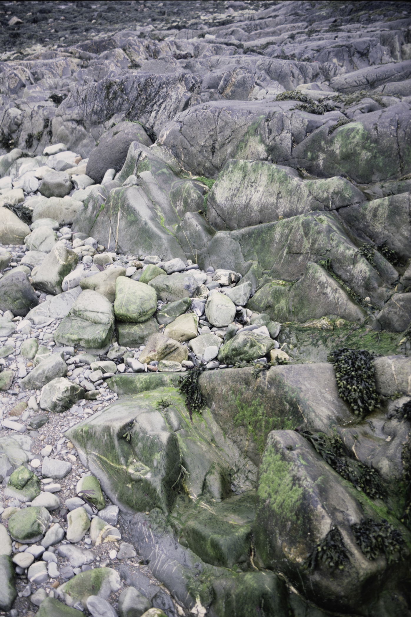 . Site: Coney Island Bay boulders, SE Coast. 