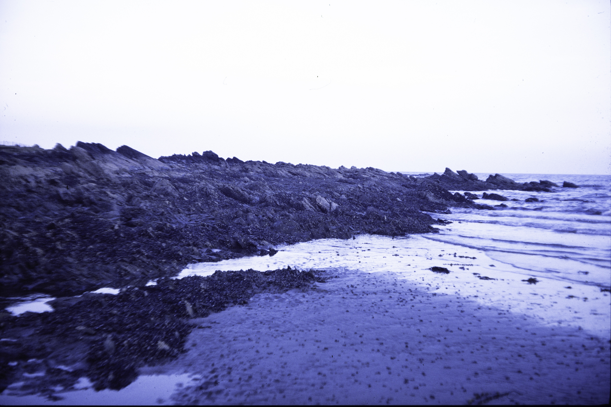 . Site: Rathmullan Point, SE Coast. 