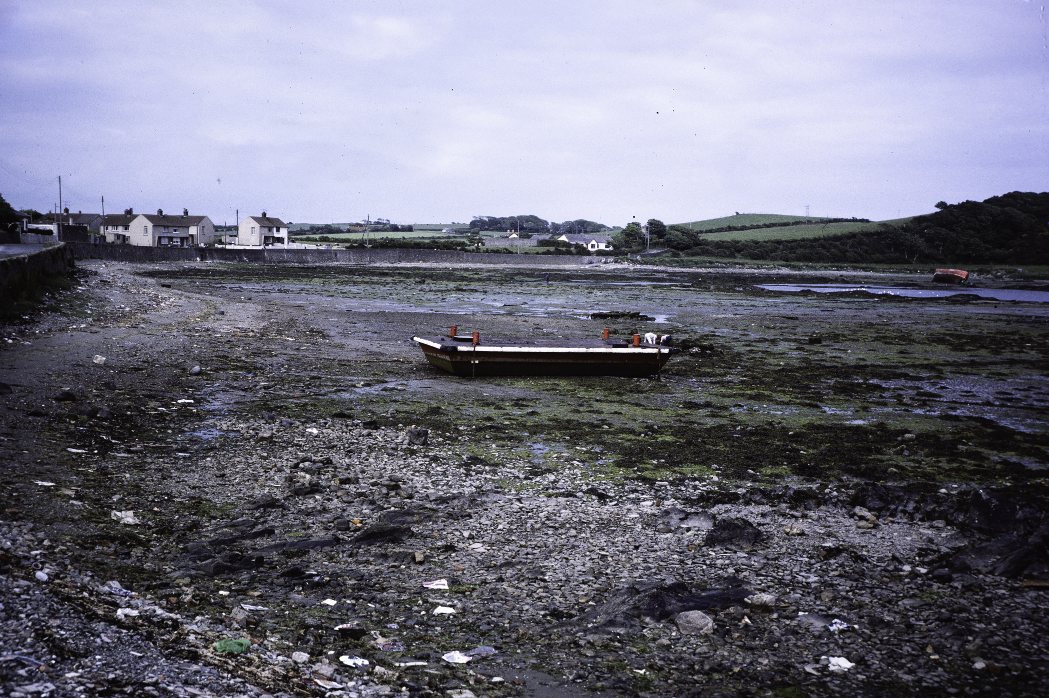 . Site: Ardglass Bay (rock), SE Coast. 