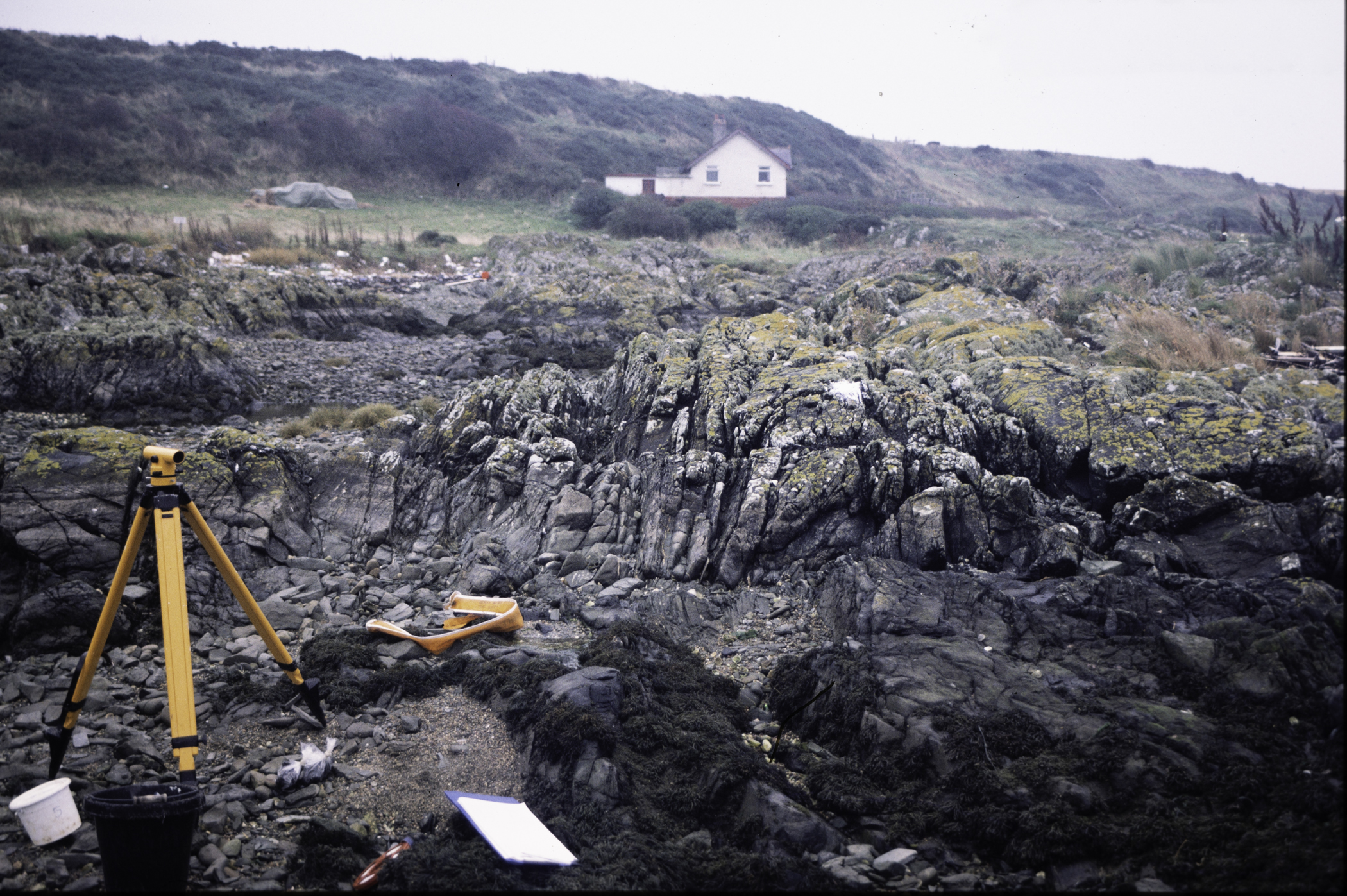 . Site: Ardglass Bay (rock), SE Coast. 