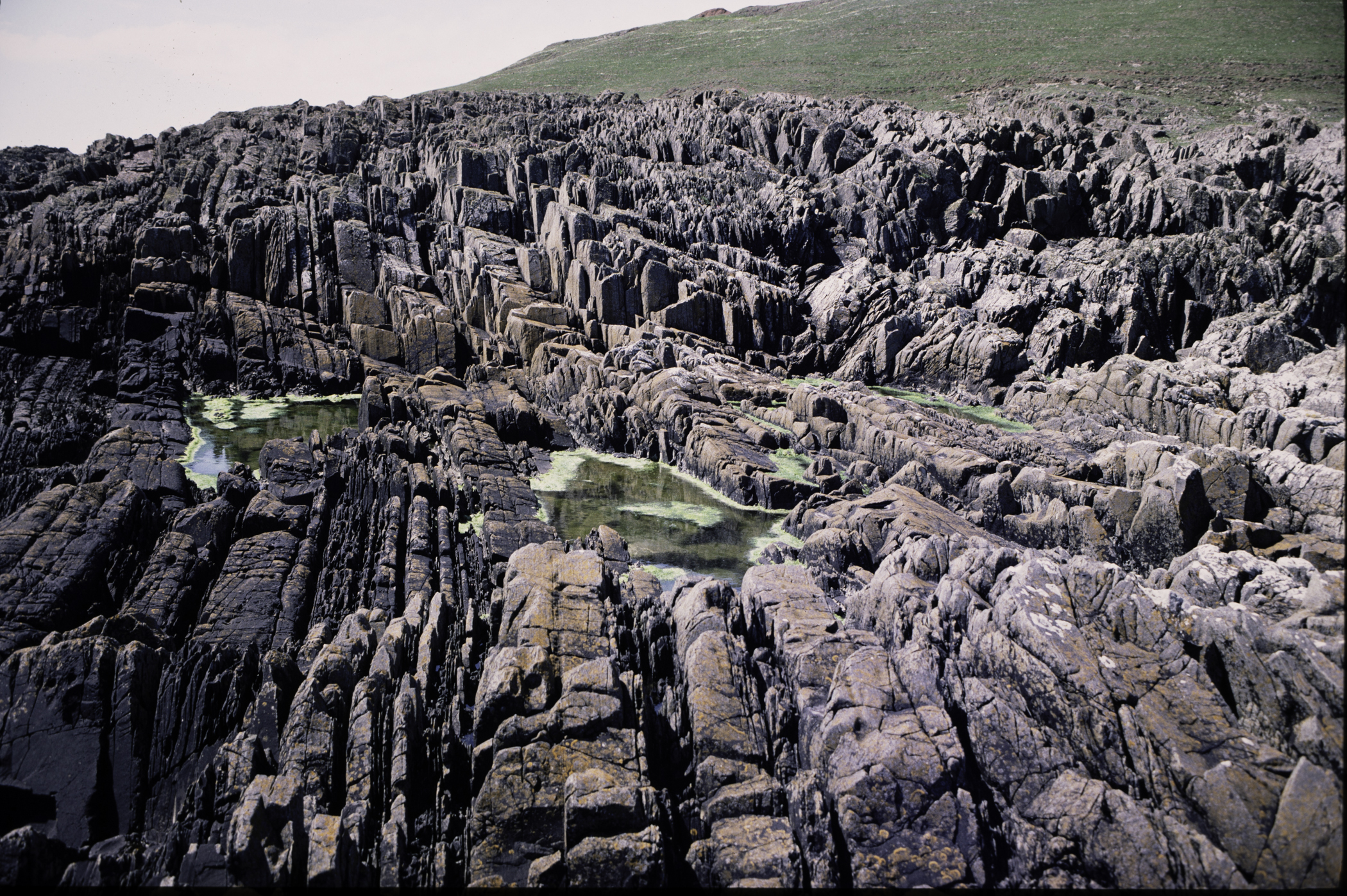 . Site: Sheepland Harbour, SE Coast. 