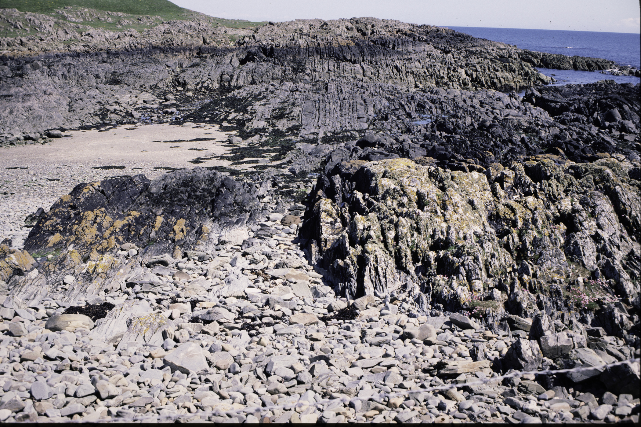 . Site: Sheepland Harbour, SE Coast. 