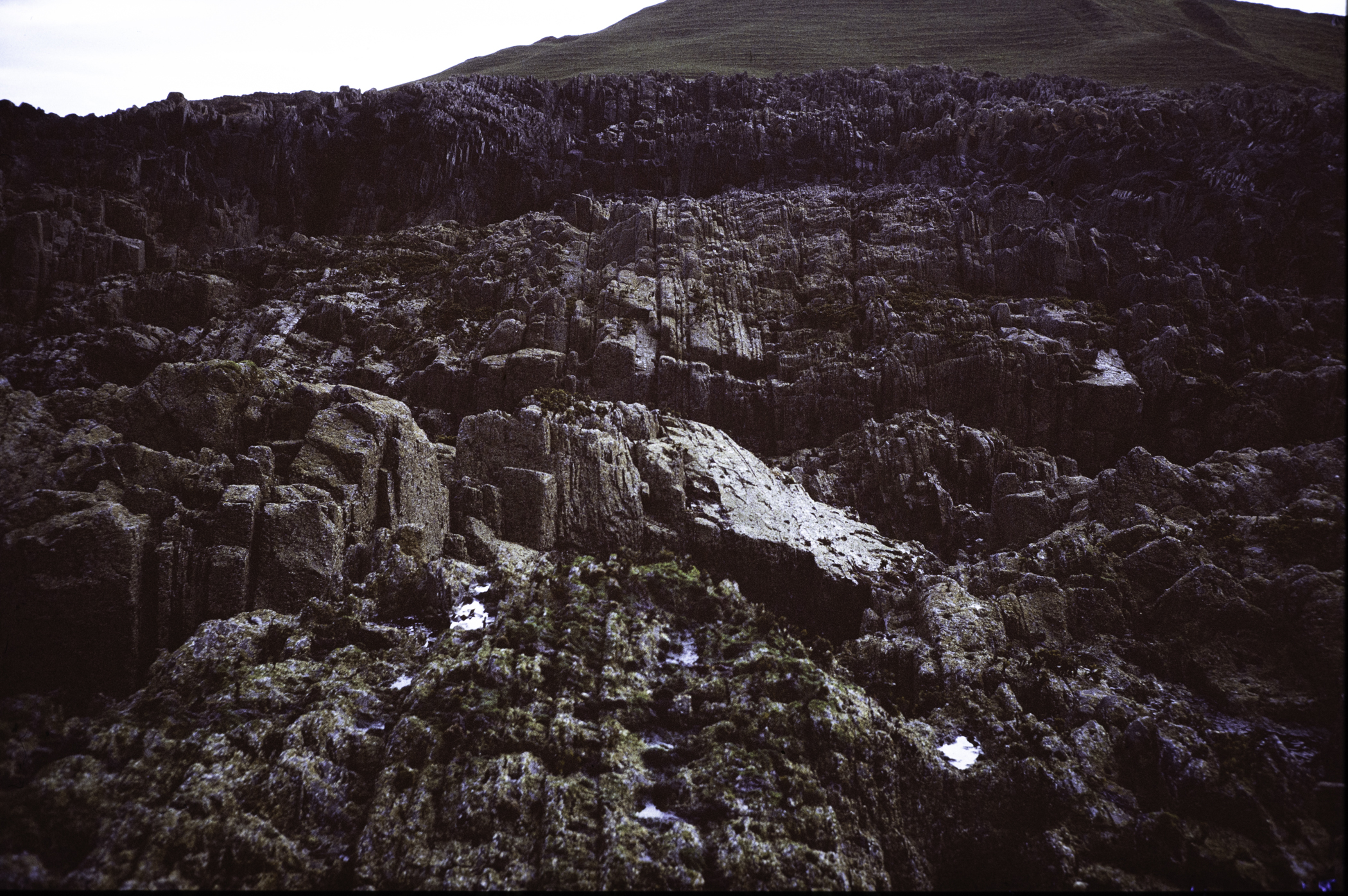 . Site: Sheepland Harbour, SE Coast. 