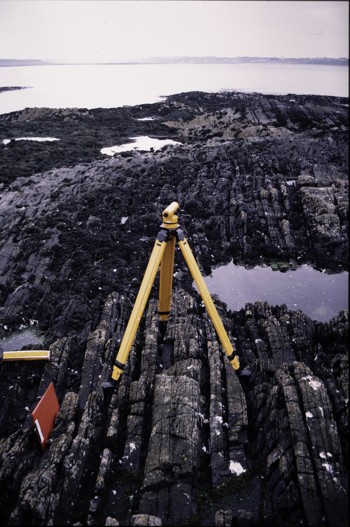 . Site: Craiglewey, SE Coast. 