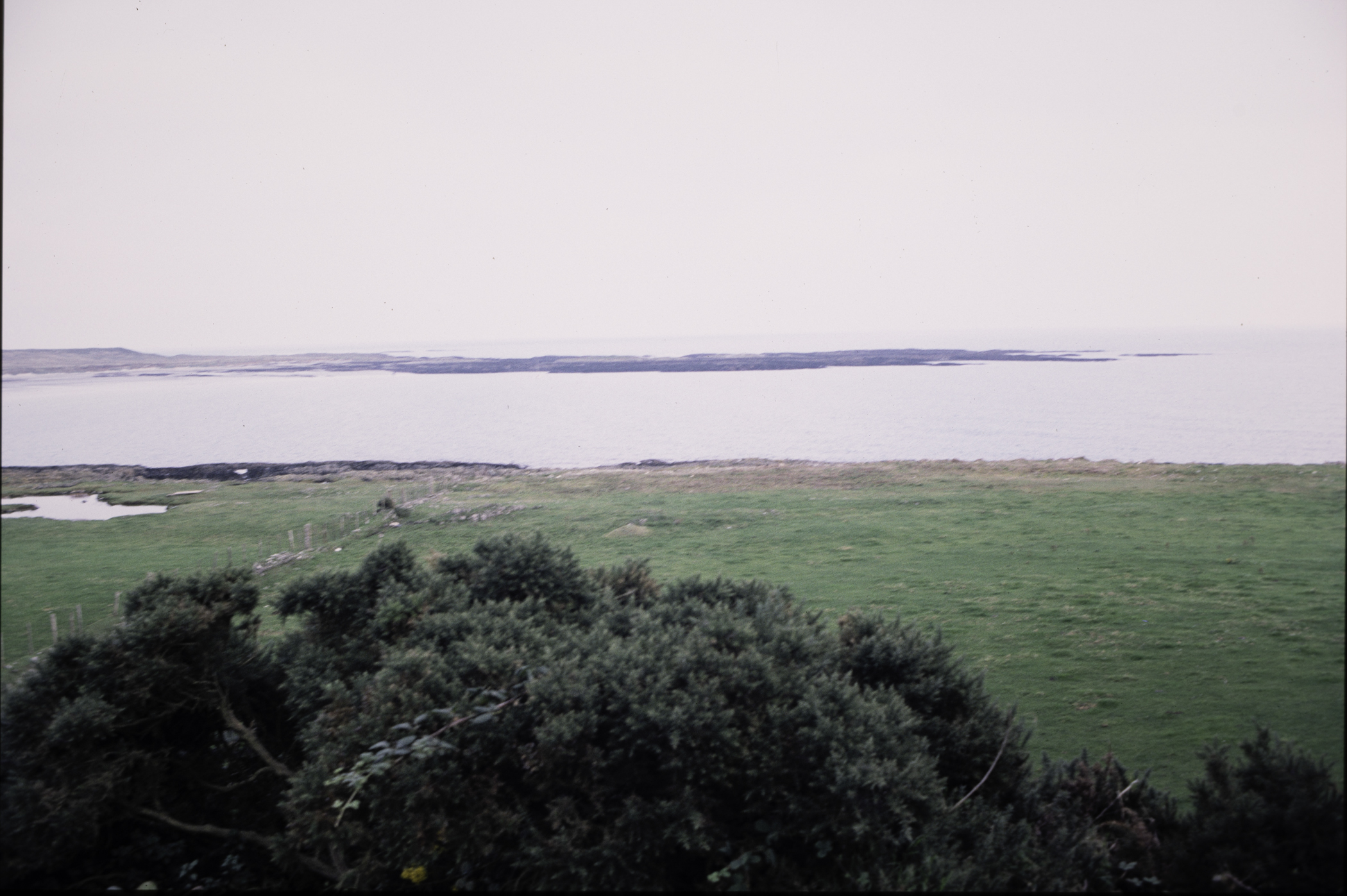 . Site: Craiglewey, SE Coast. 