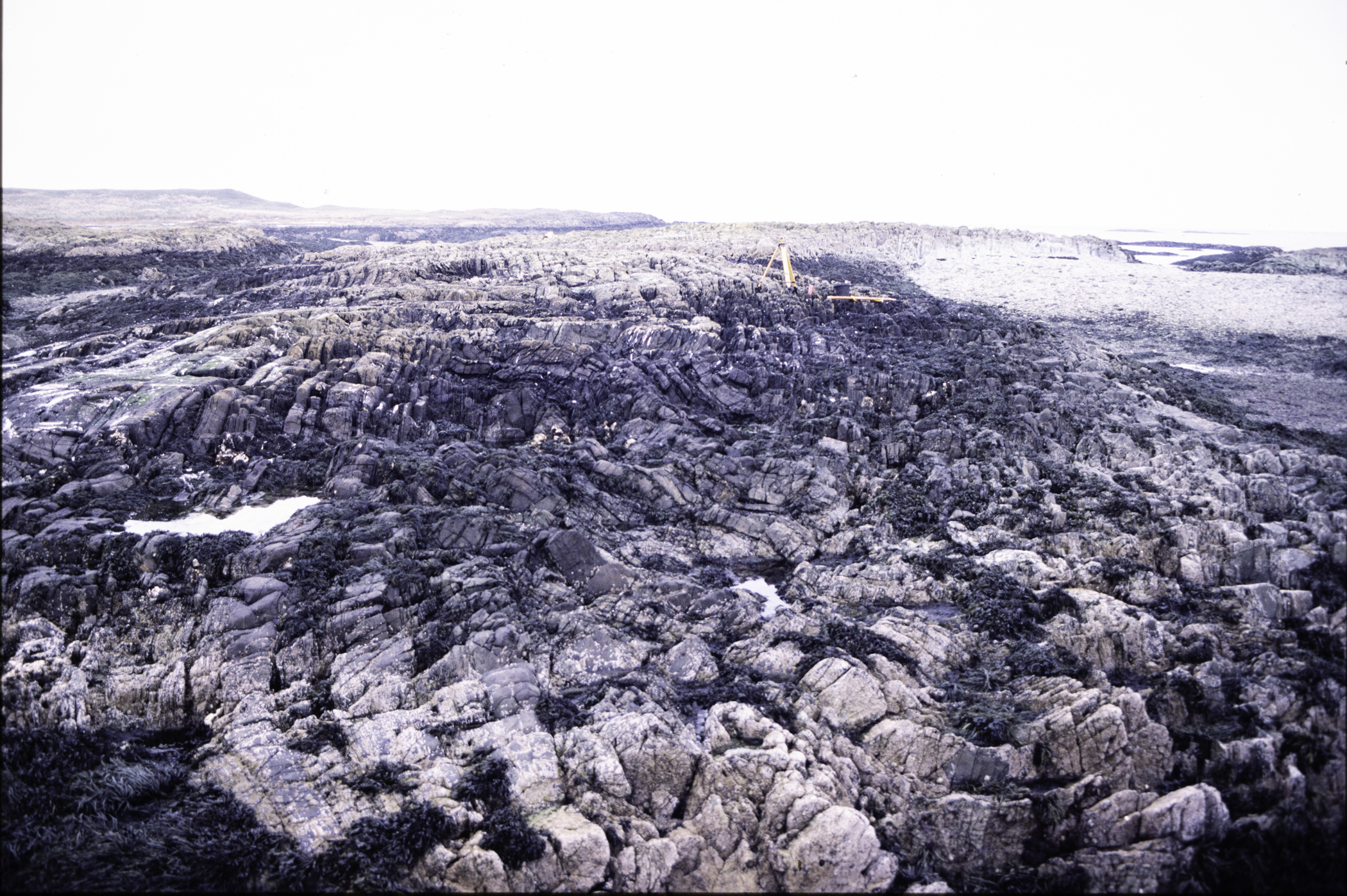 . Site: Craiglewey, SE Coast. 