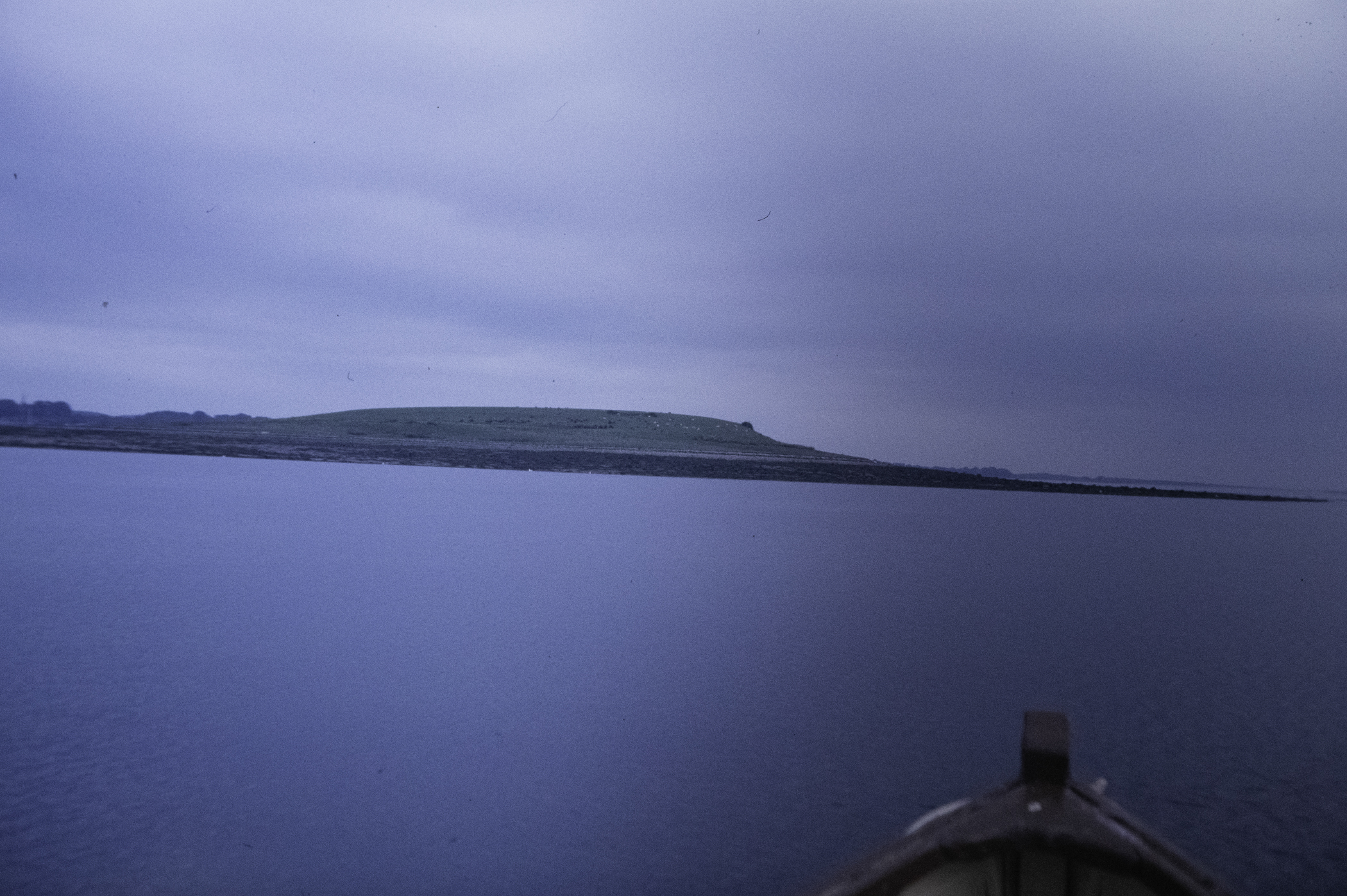 . Site: Green Island, Strangford Lough. 