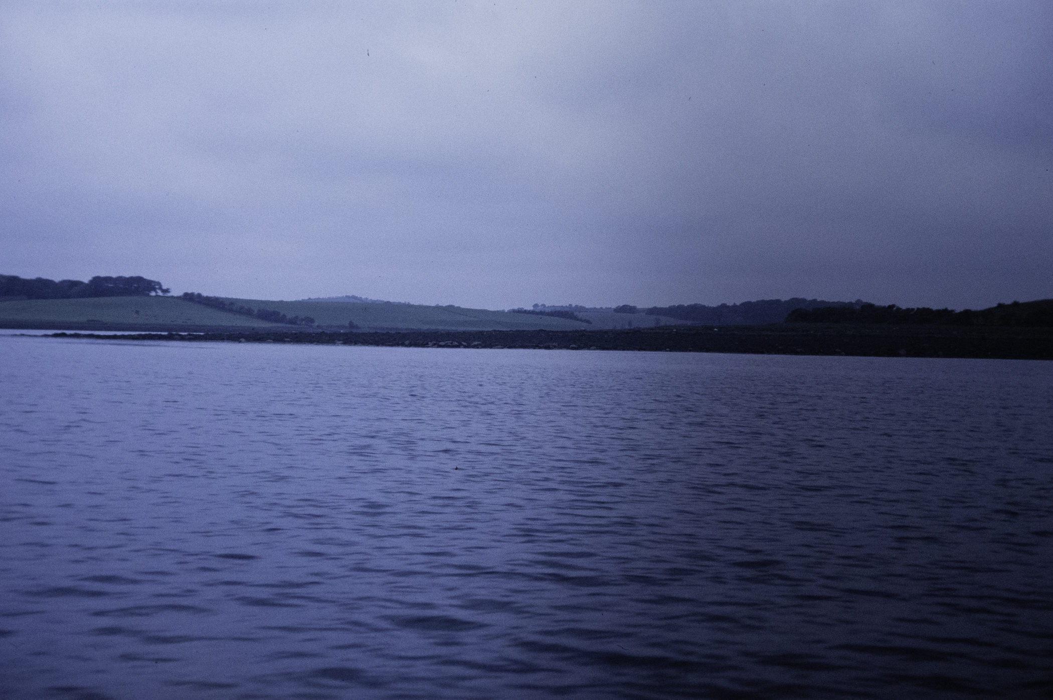 . Site: Pawle Island, Strangford Lough. 