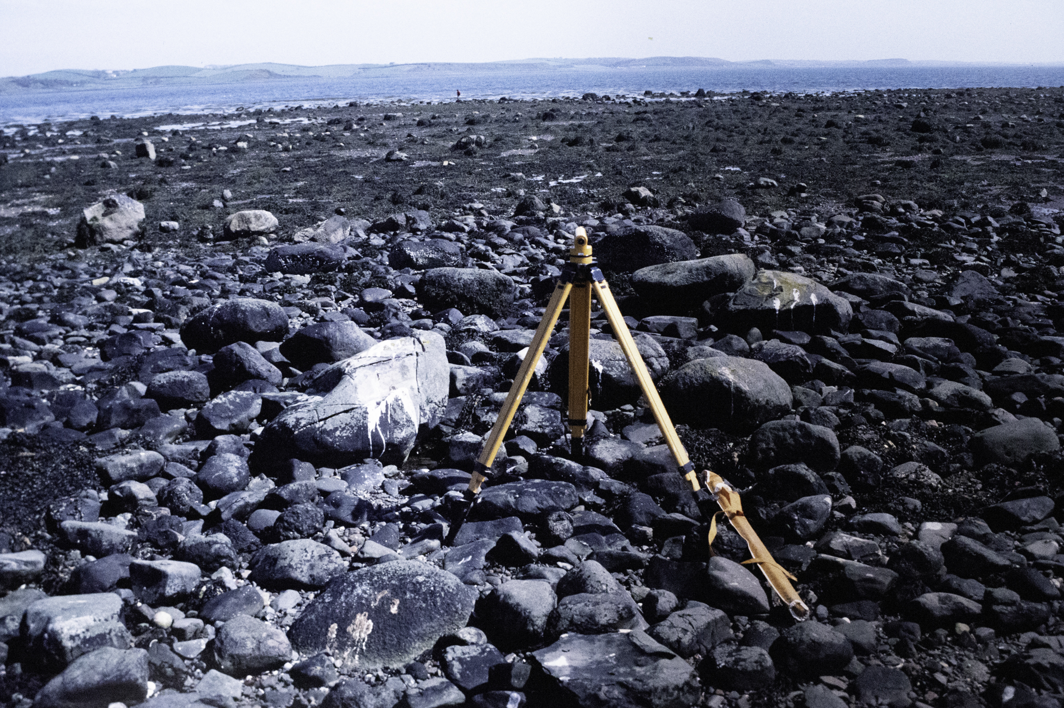 . Site: South Island, Strangford Lough. 