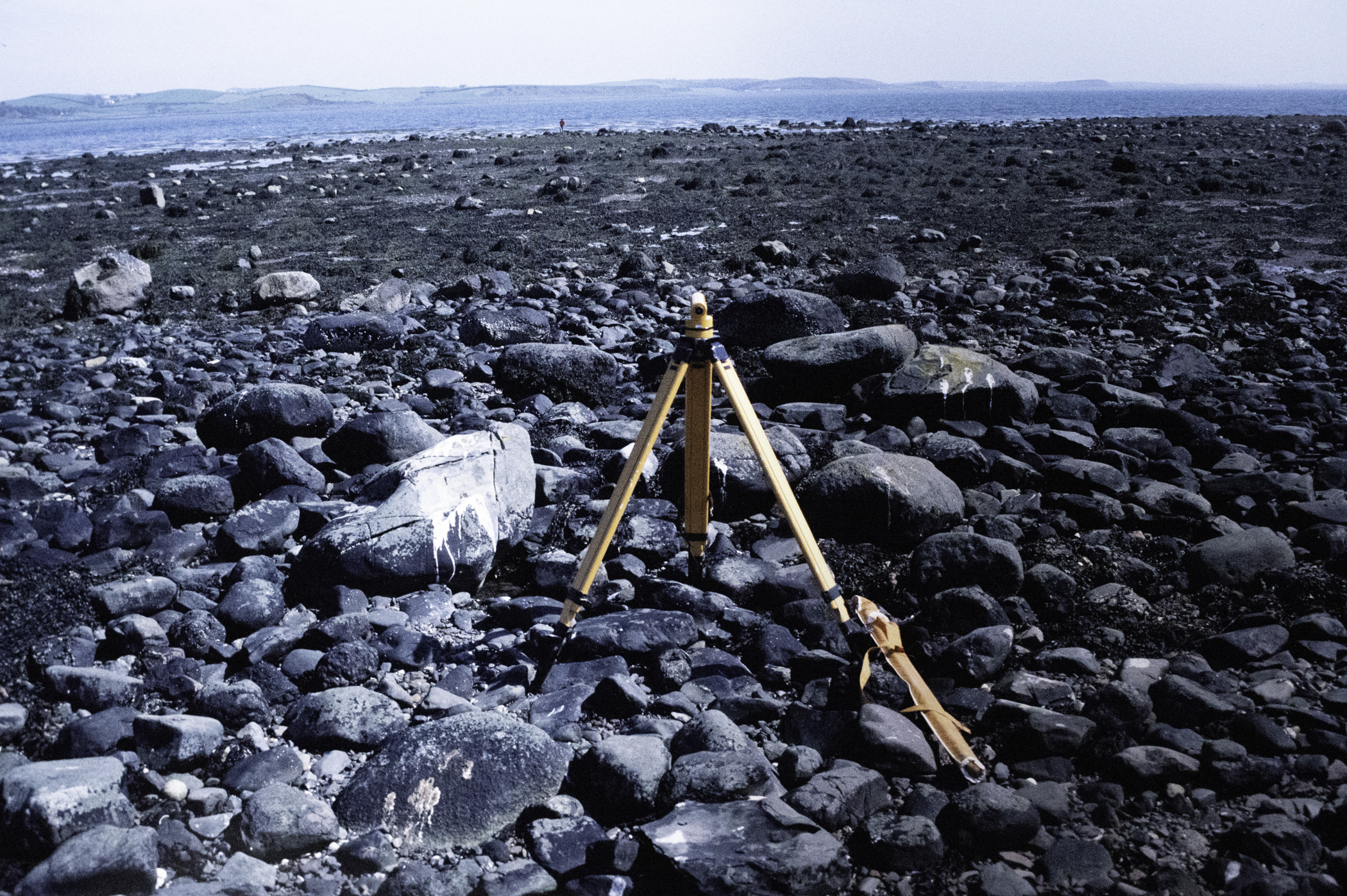 . Site: South Island, Strangford Lough. 