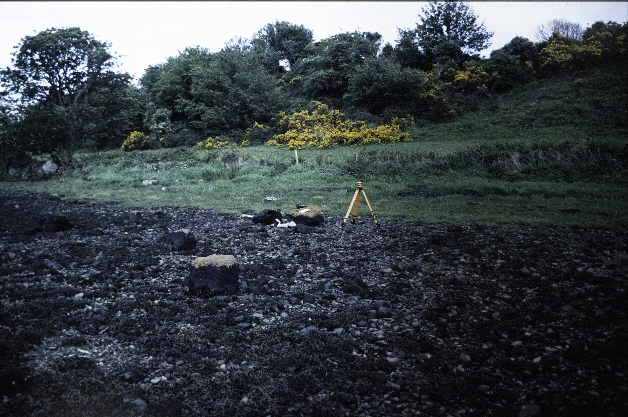 . Site: Chapel Island Causeway, Strangford Lough. 