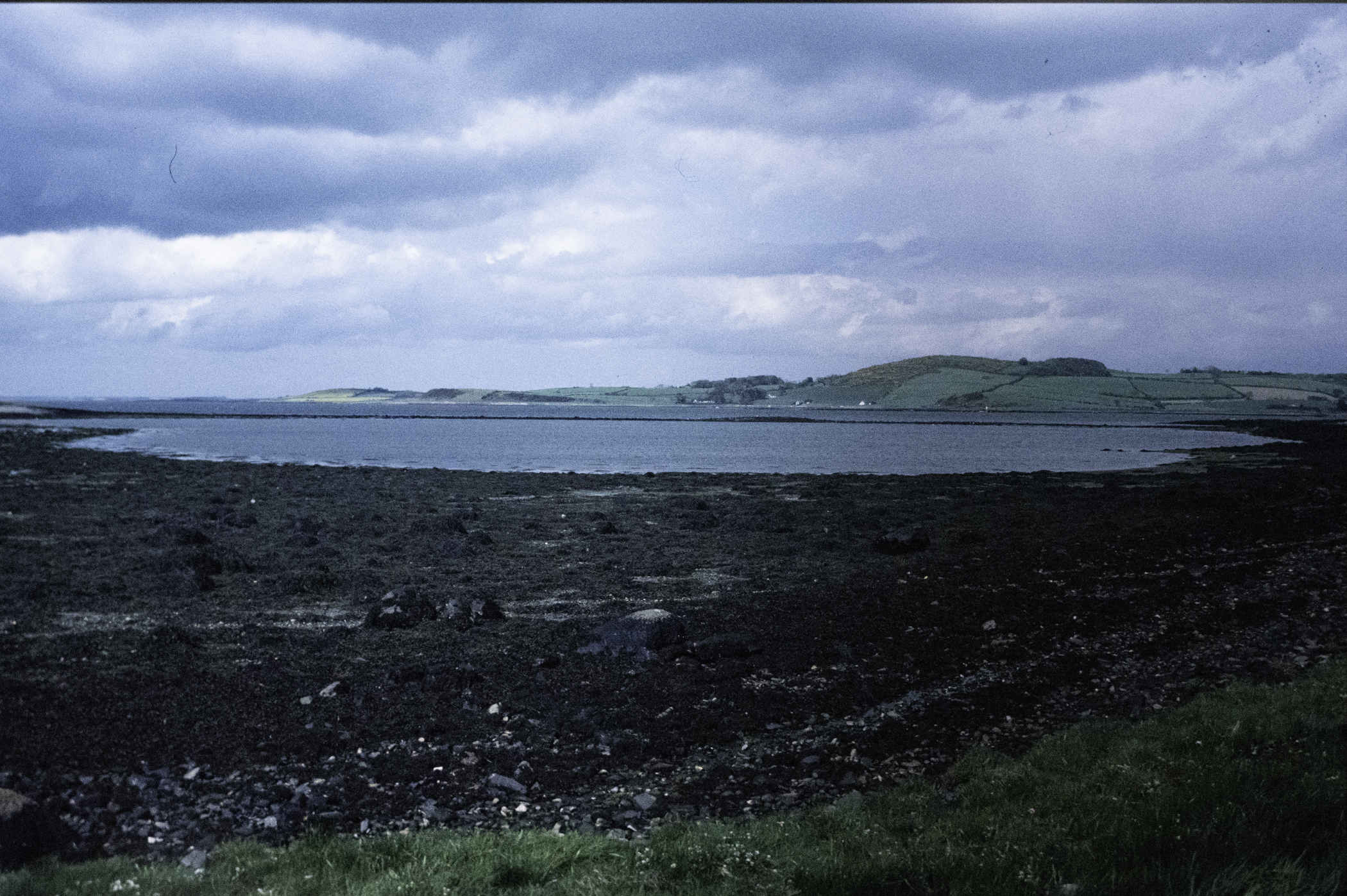 . Site: Chapel Island Causeway, Strangford Lough. 