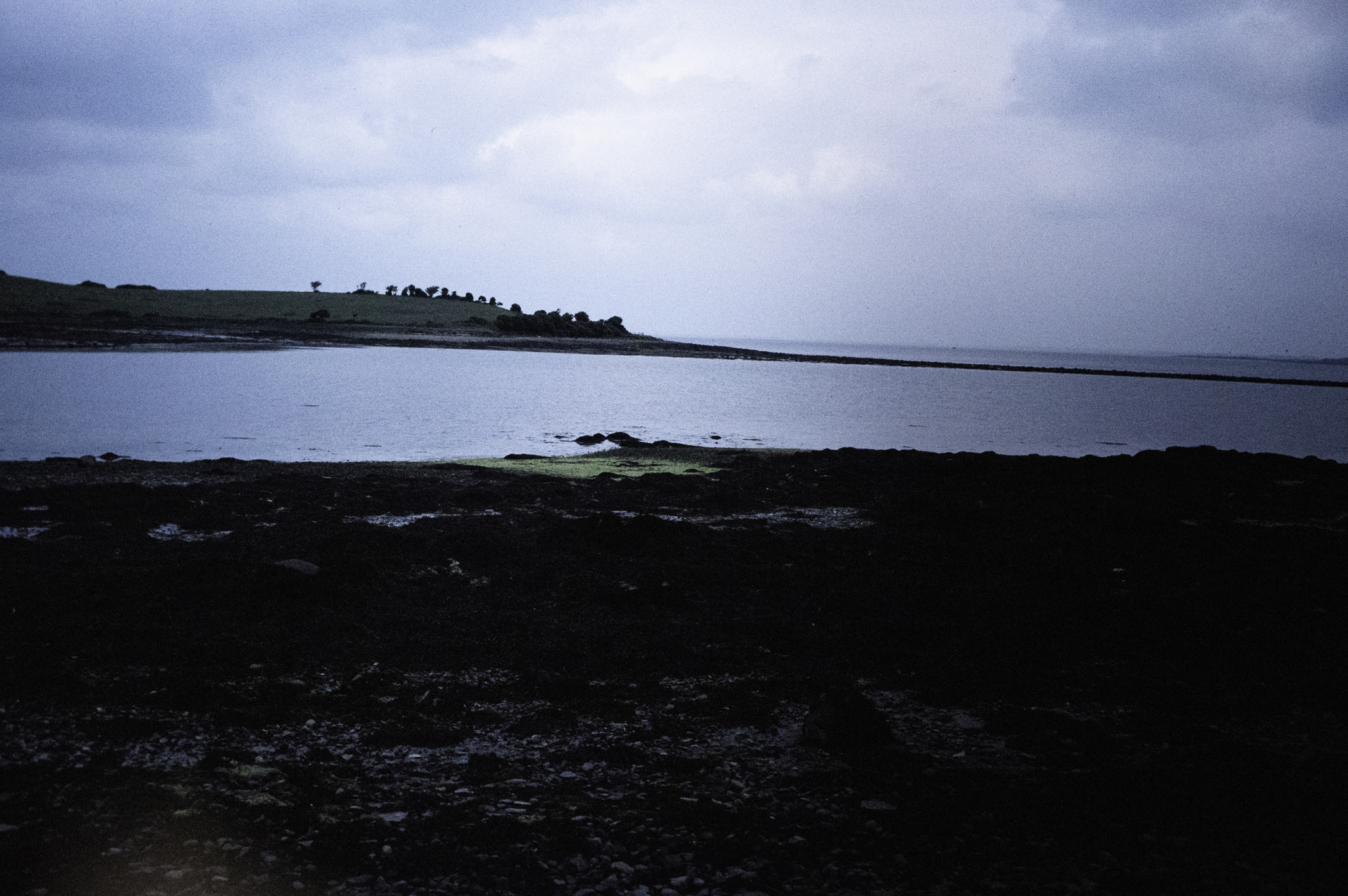 . Site: Chapel Island Causeway, Strangford Lough. 