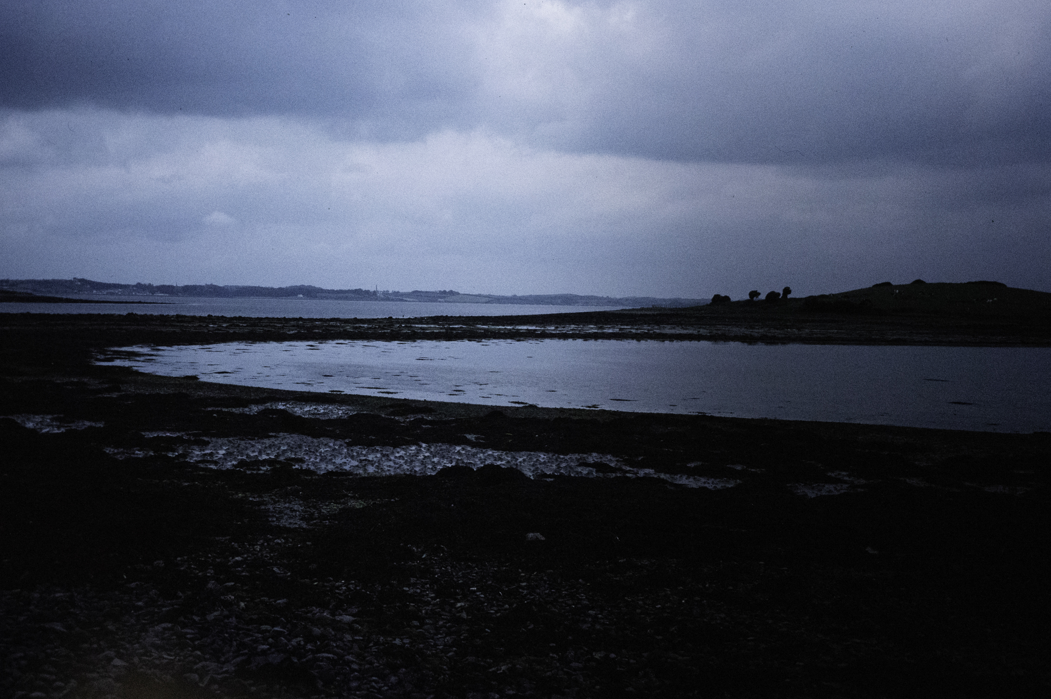 . Site: Chapel Island Causeway, Strangford Lough. 