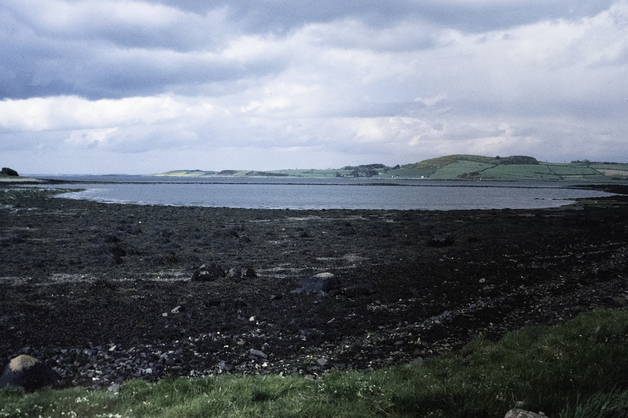 . Site: Chapel Island Causeway, Strangford Lough. 