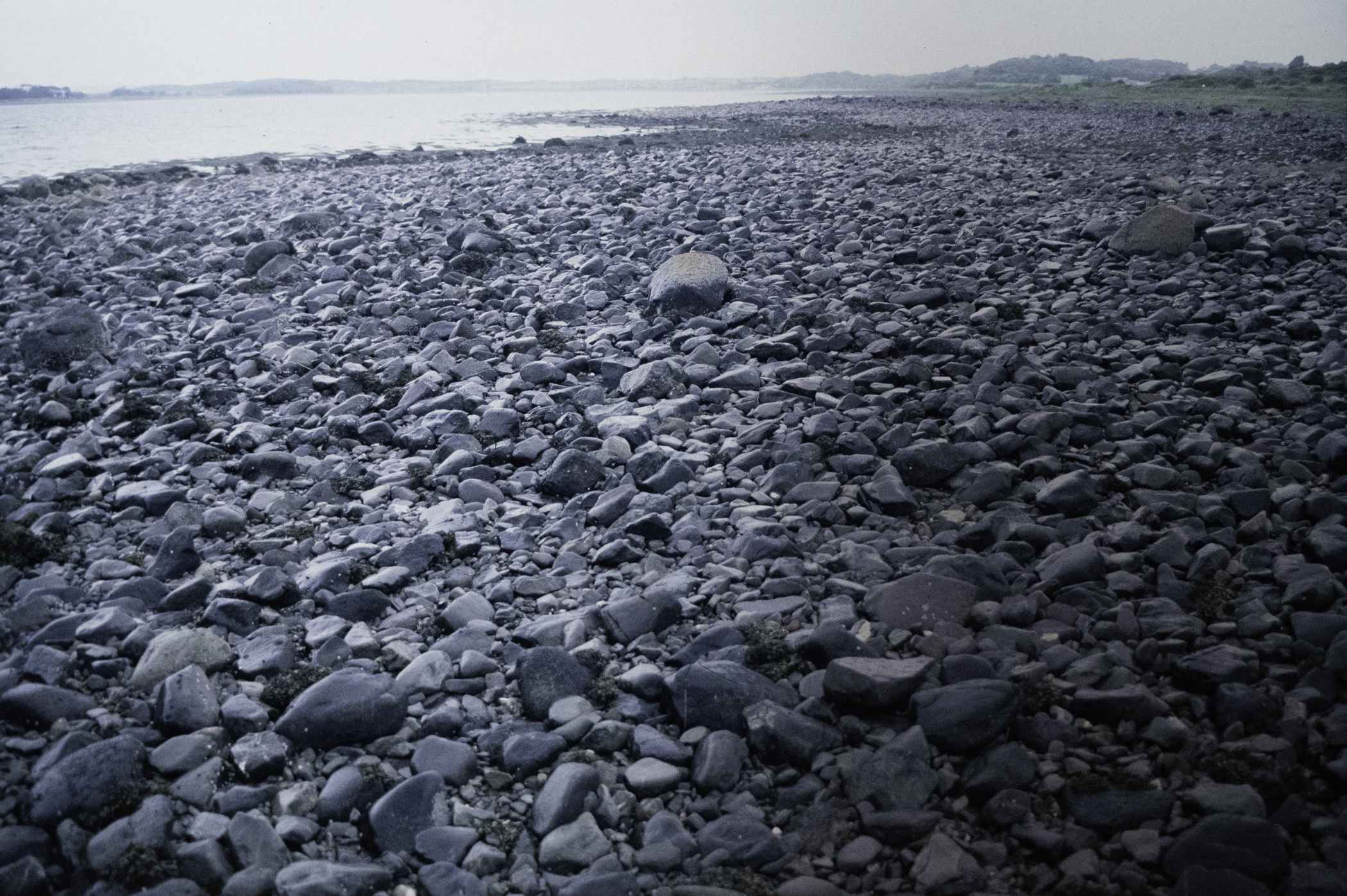 . Site: Herring Bay boulders, Strangford Lough. 