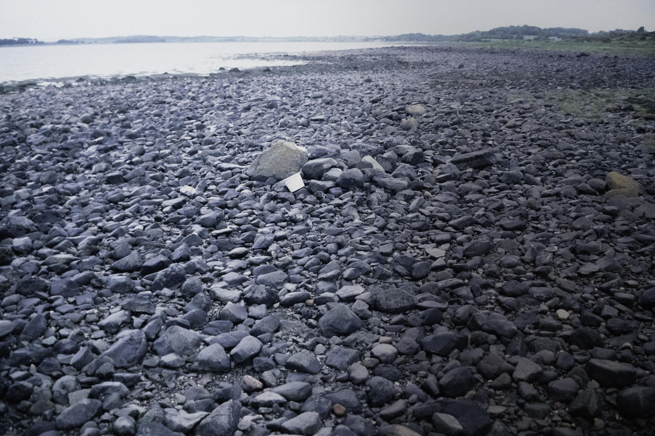 . Site: Herring Bay boulders, Strangford Lough. 