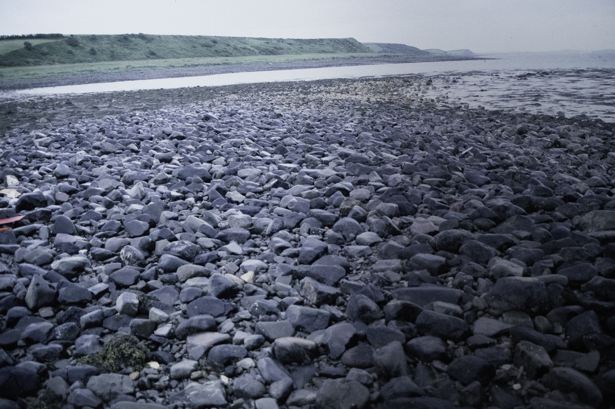 . Site: Herring Bay boulders, Strangford Lough. 