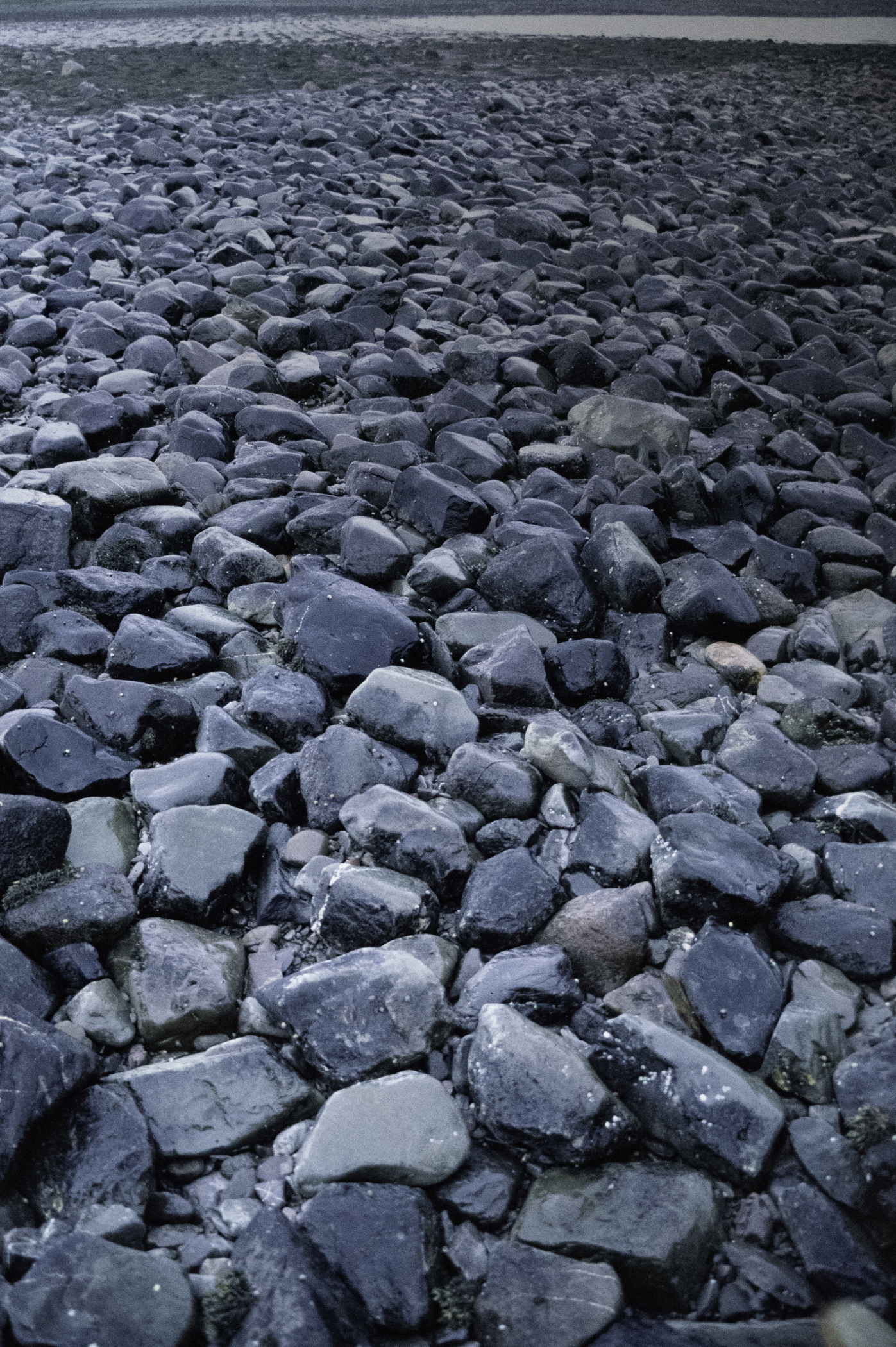 . Site: Herring Bay boulders, Strangford Lough. 